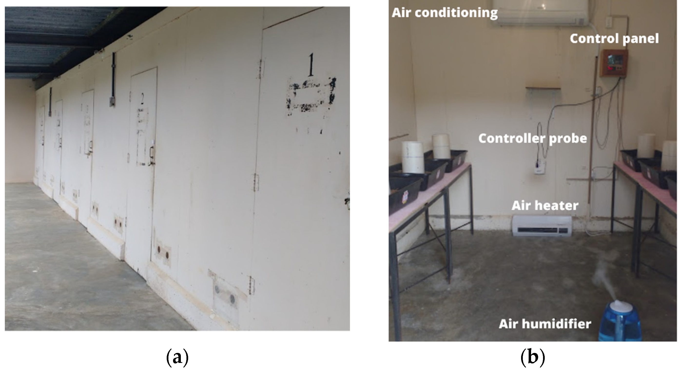 Animals 13 00675 g003