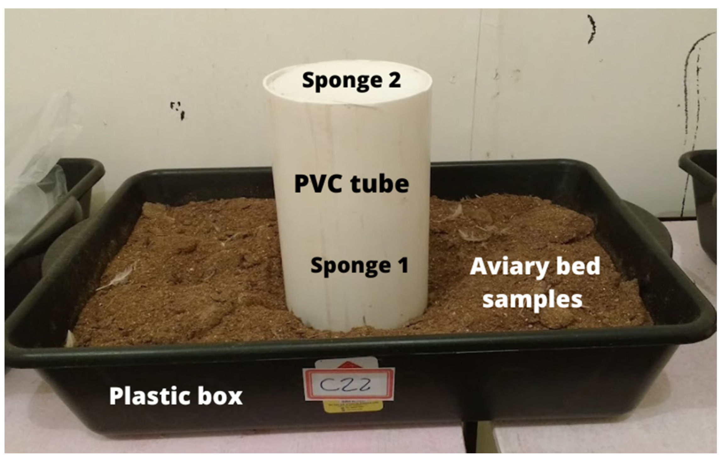 Animals 13 00675 g004