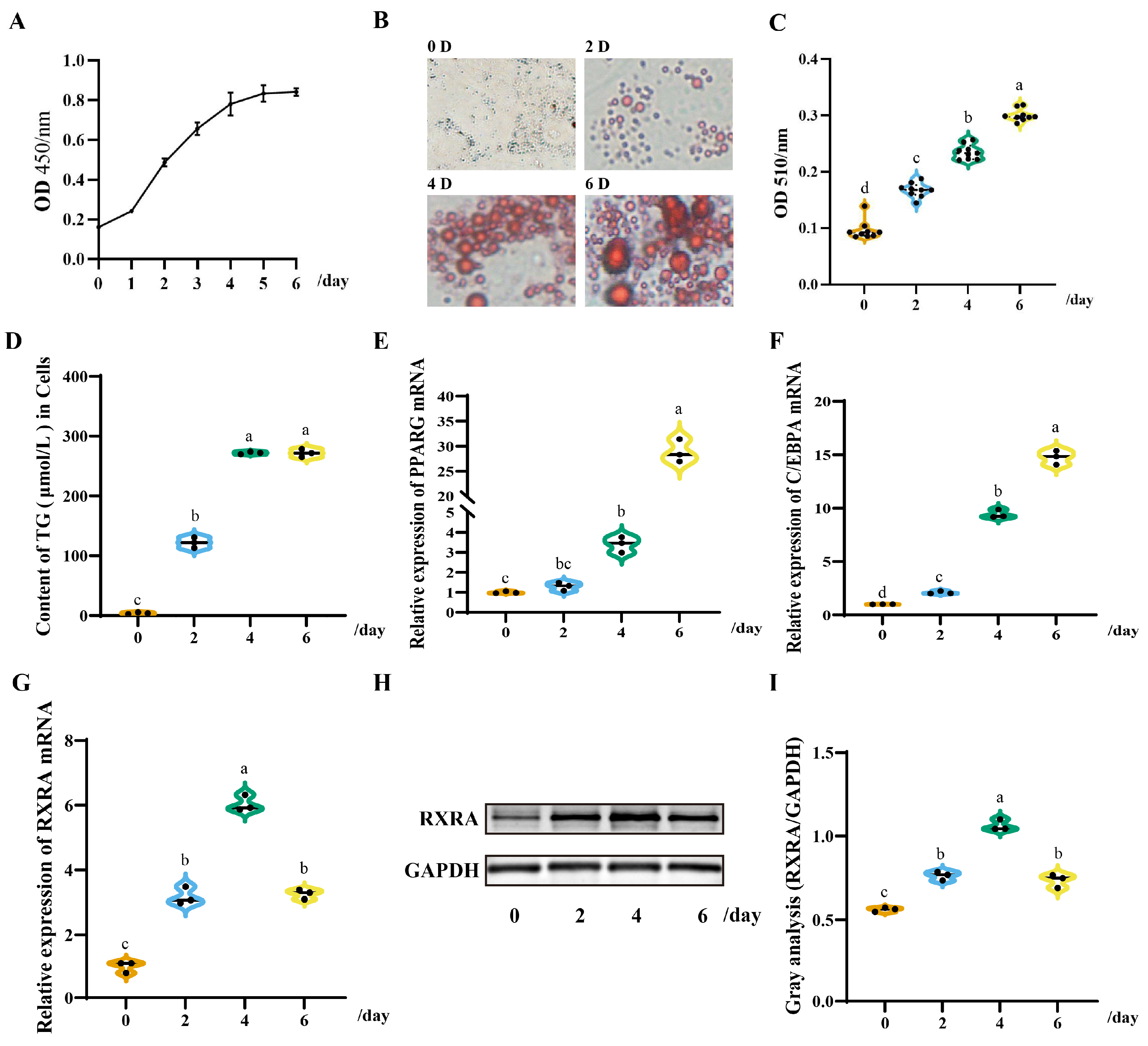 Animals 13 00680 g001 Animals 13 00680 g001
