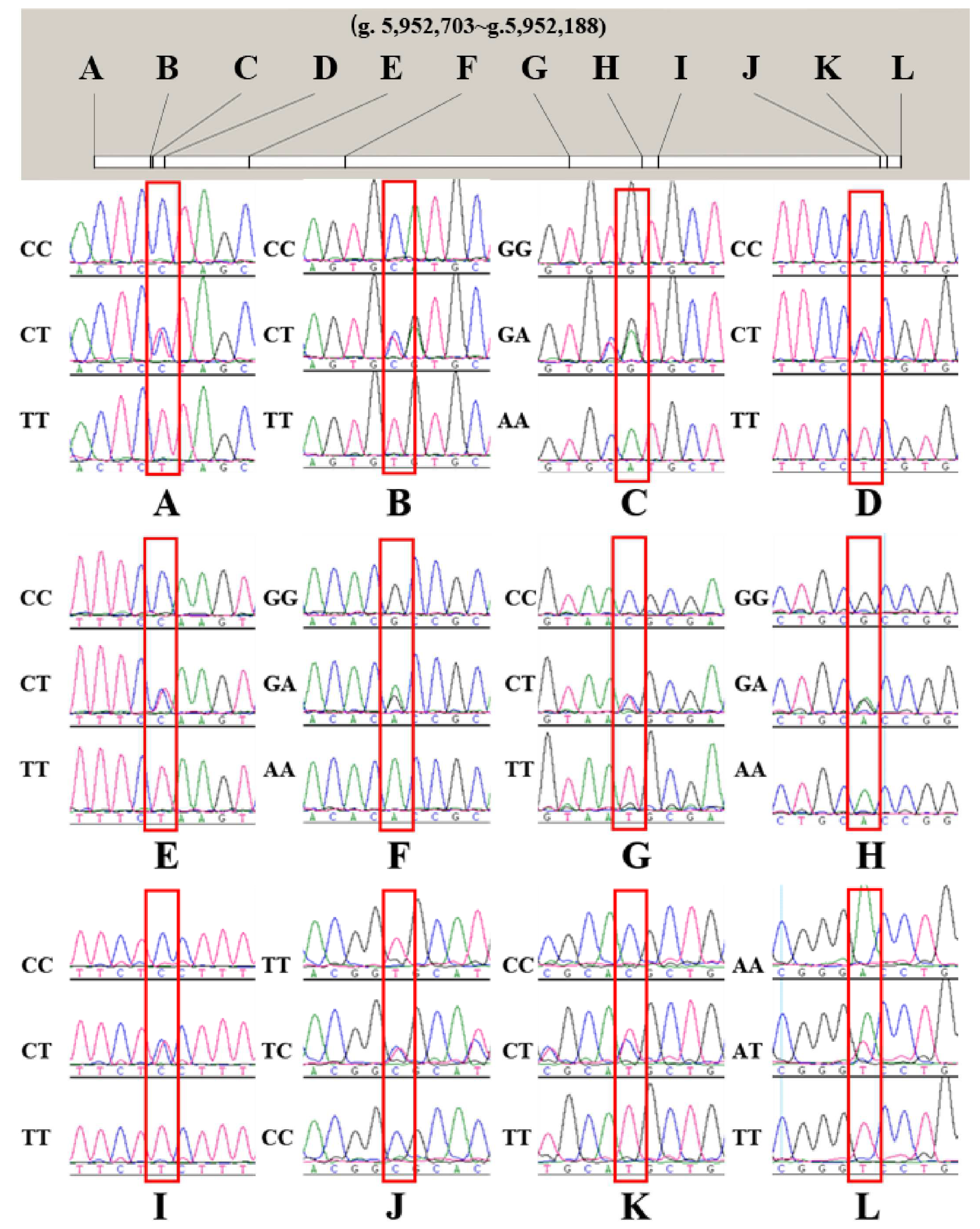 Animals 13 00680 g003 Animals 13 00680 g003