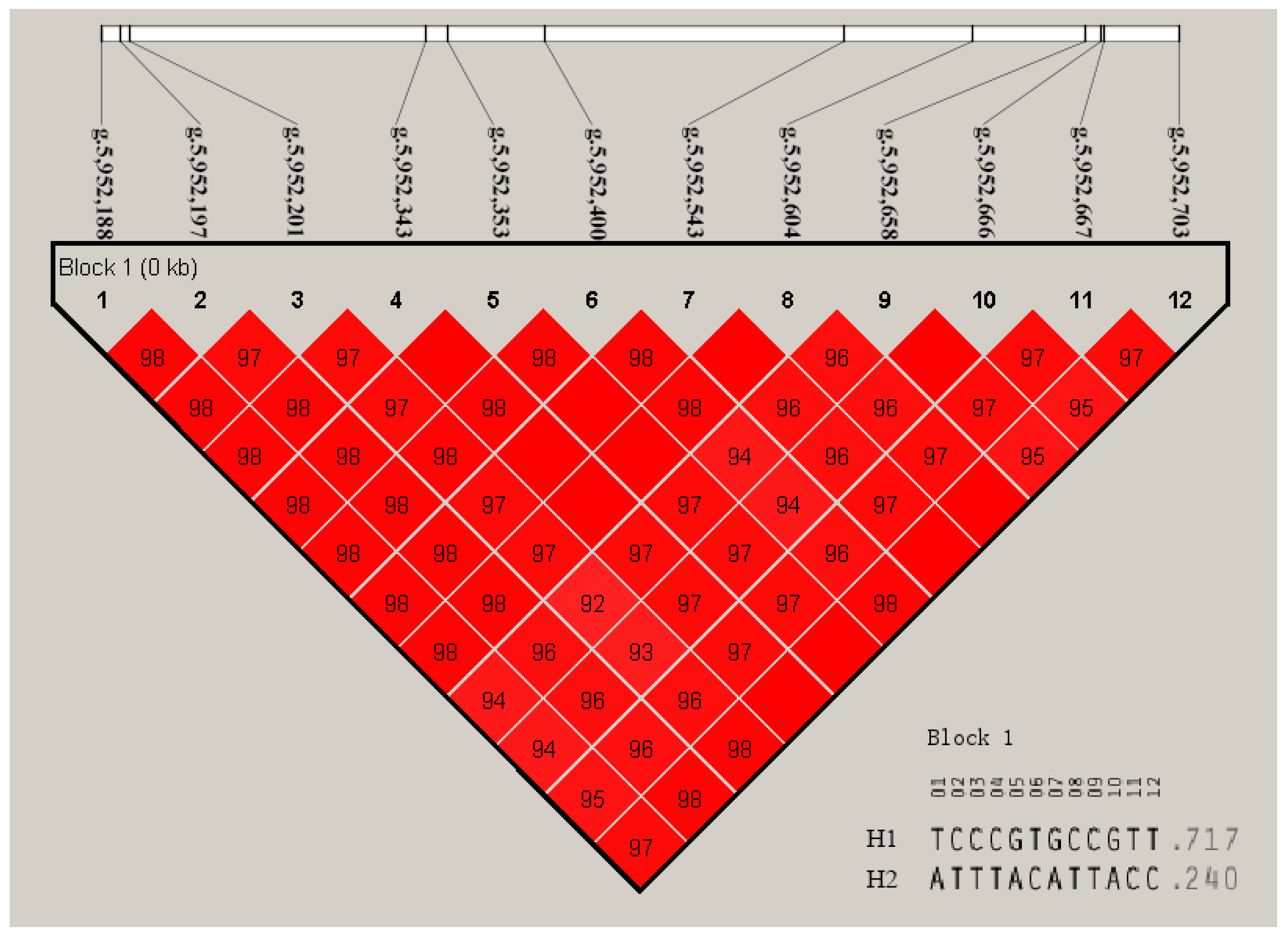 Animals 13 00680 g005 Animals 13 00680 g005