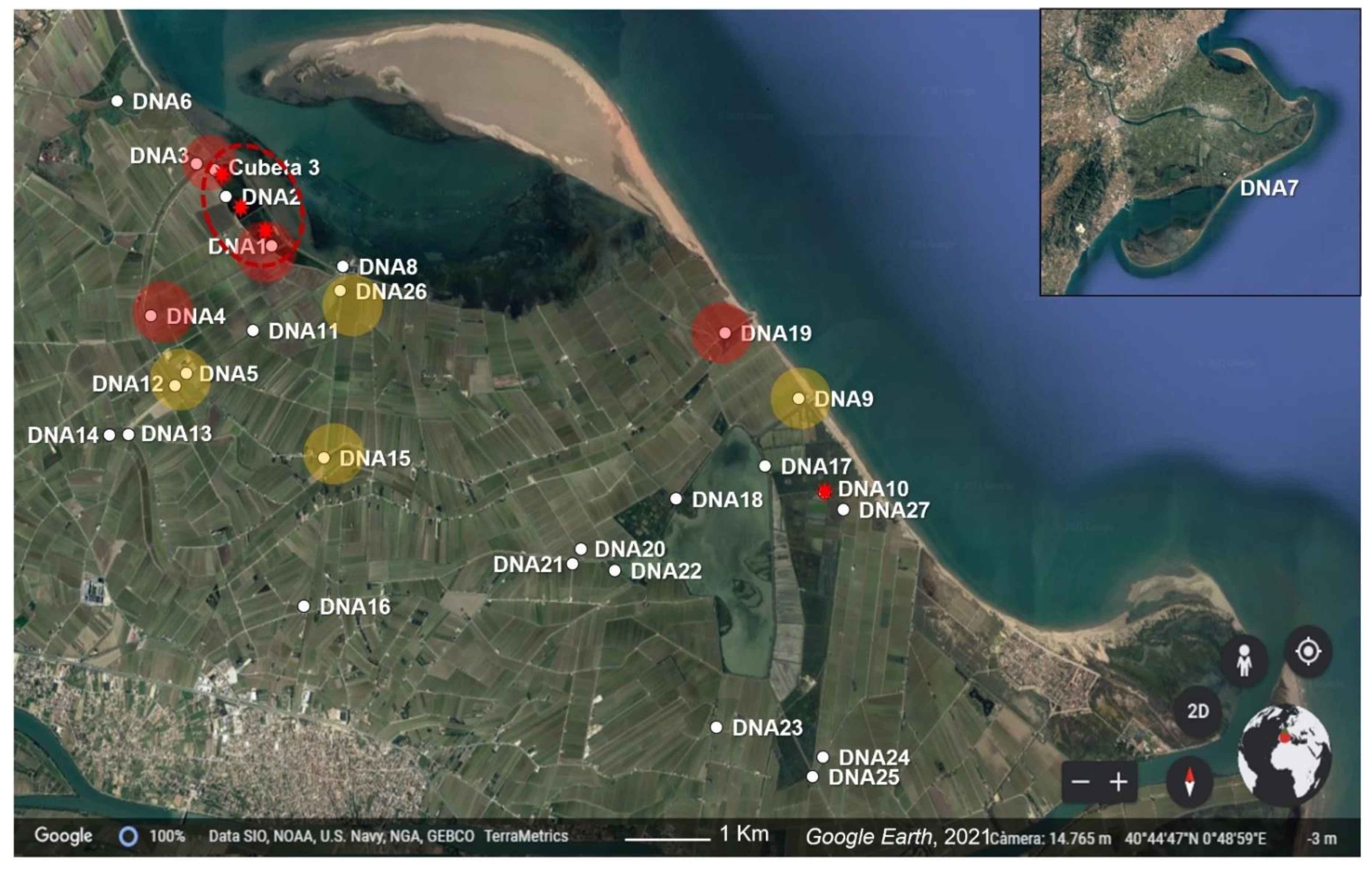 Animals 13 00683 g001 Animals 13 00683 g001