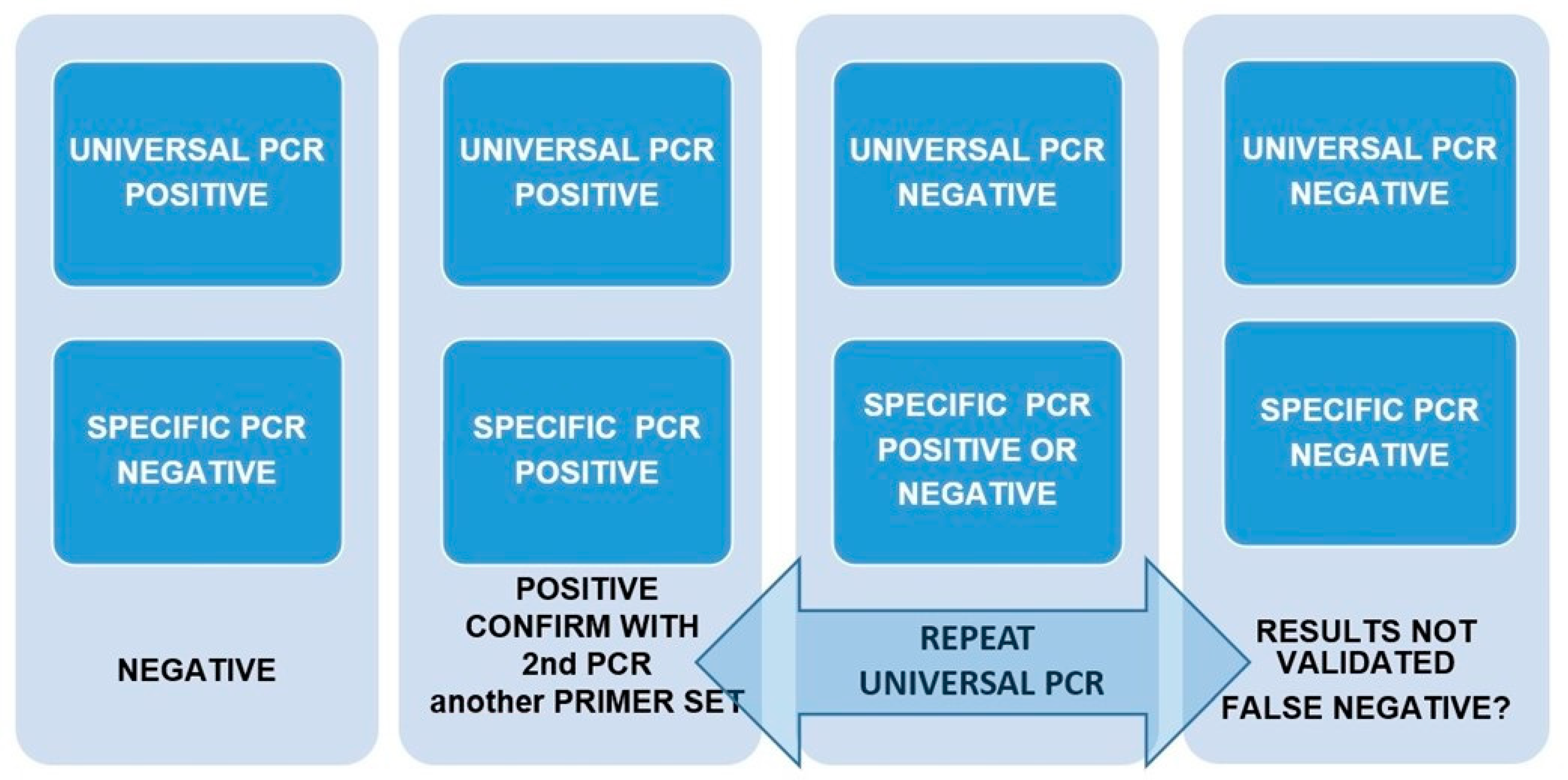 Animals 13 00683 g002 Animals 13 00683 g002