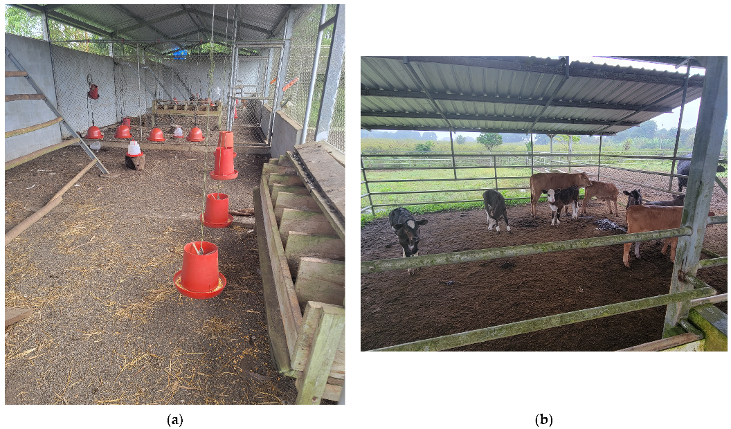 Animals 13 00686 g002 Animals 13 00686 g002