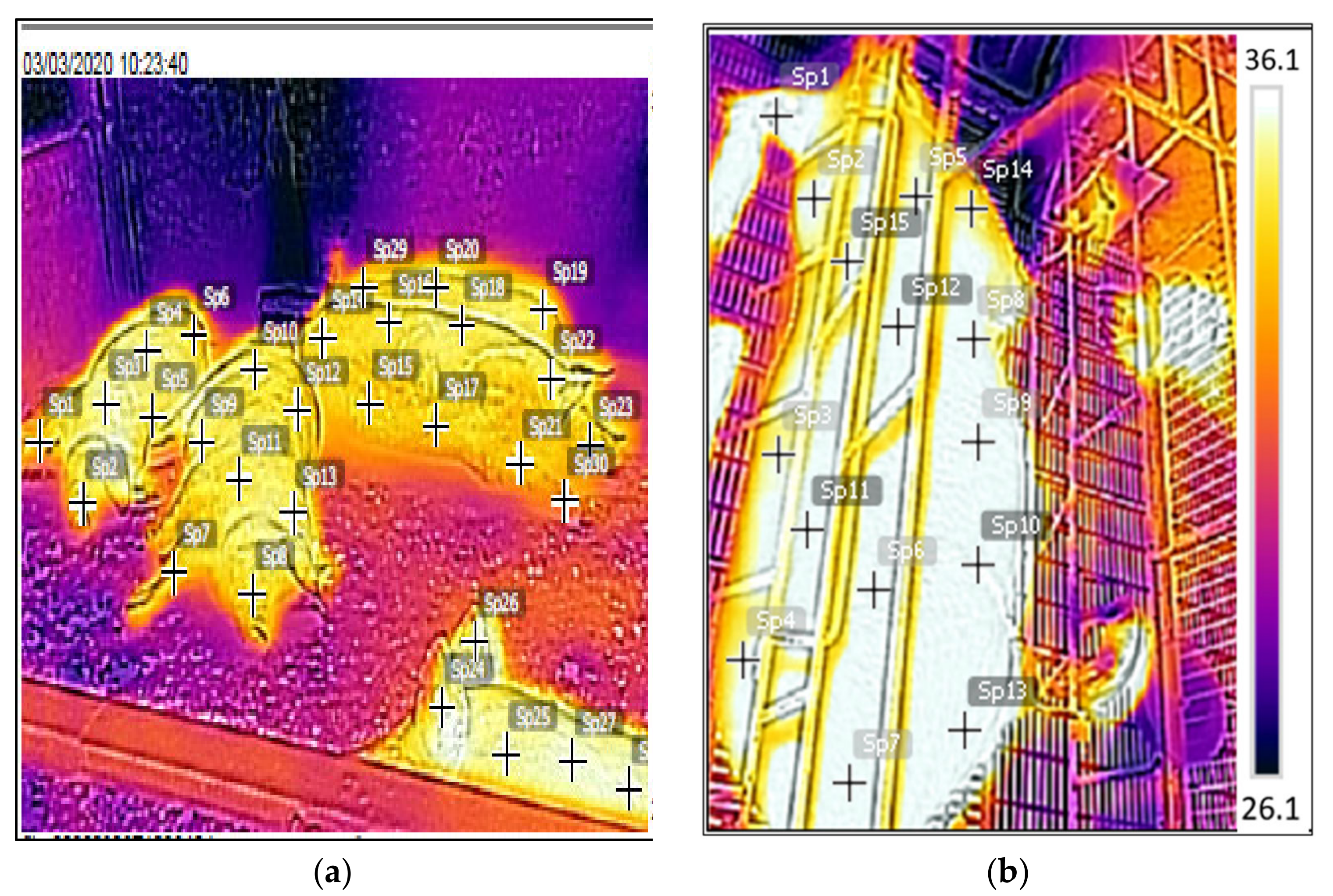 Animals 13 00695 g001