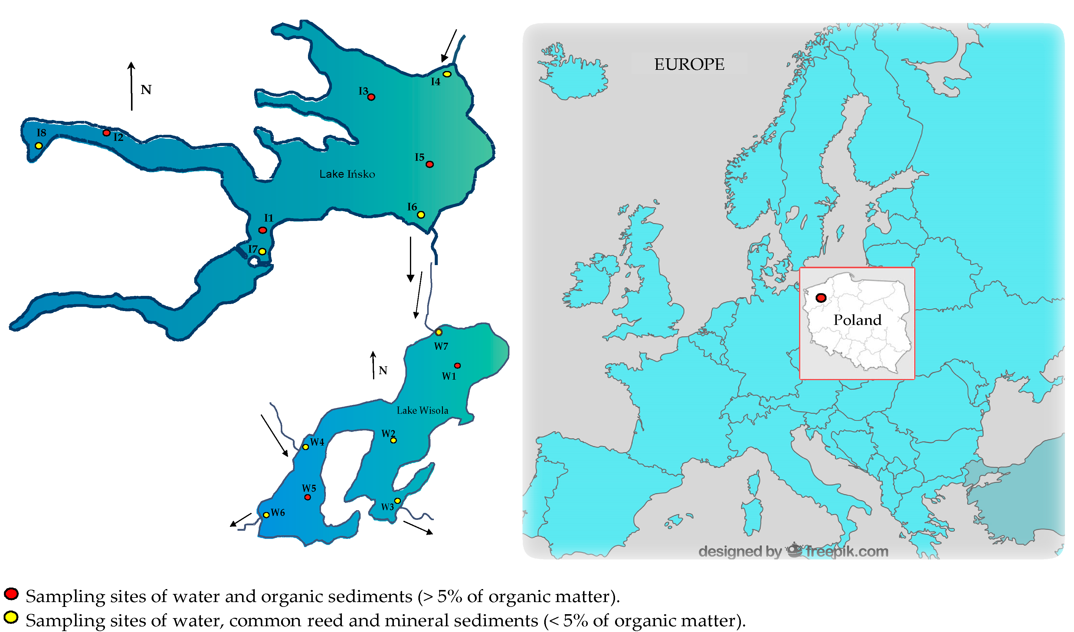 Animals 13 00697 g001 Animals 13 00697 g001