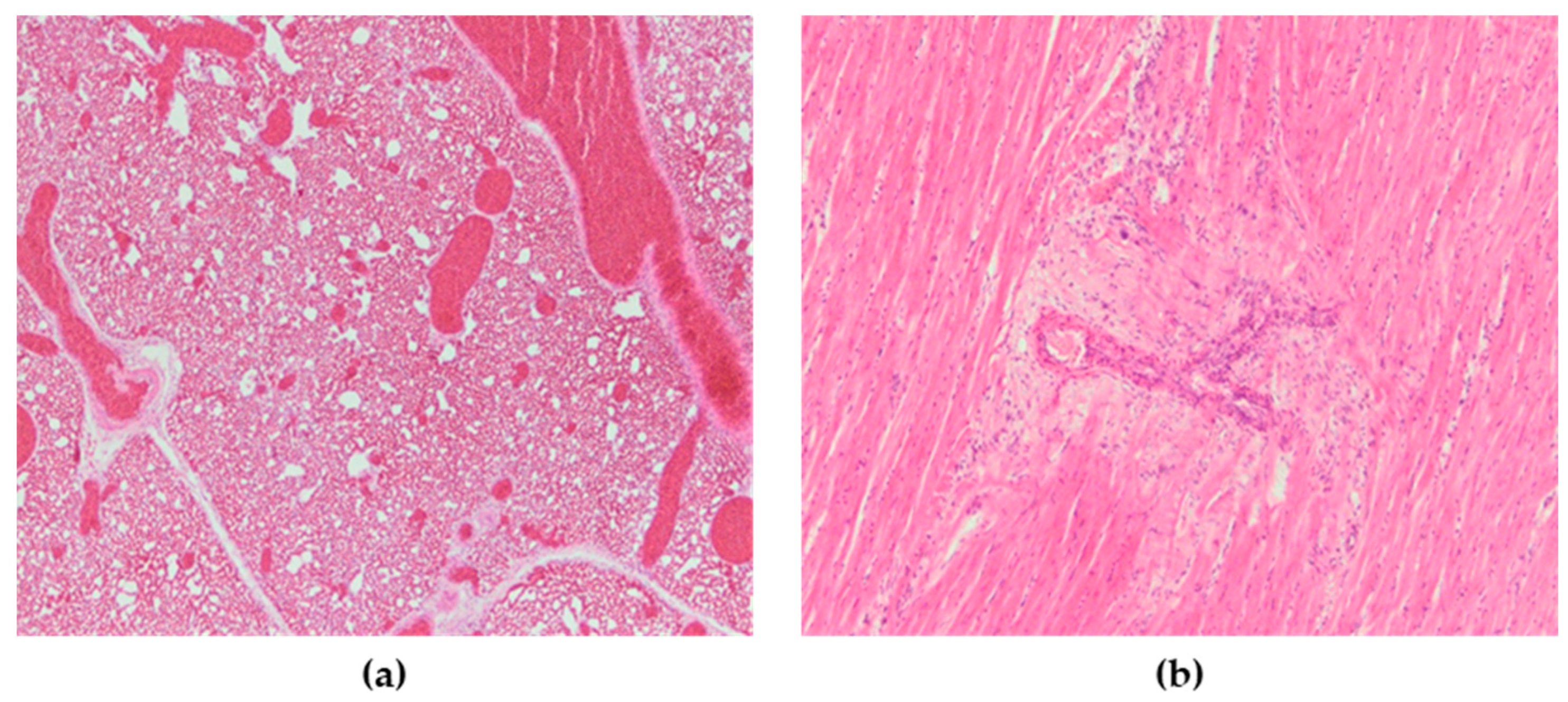 Animals 13 00700 g006 Animals 13 00700 g006