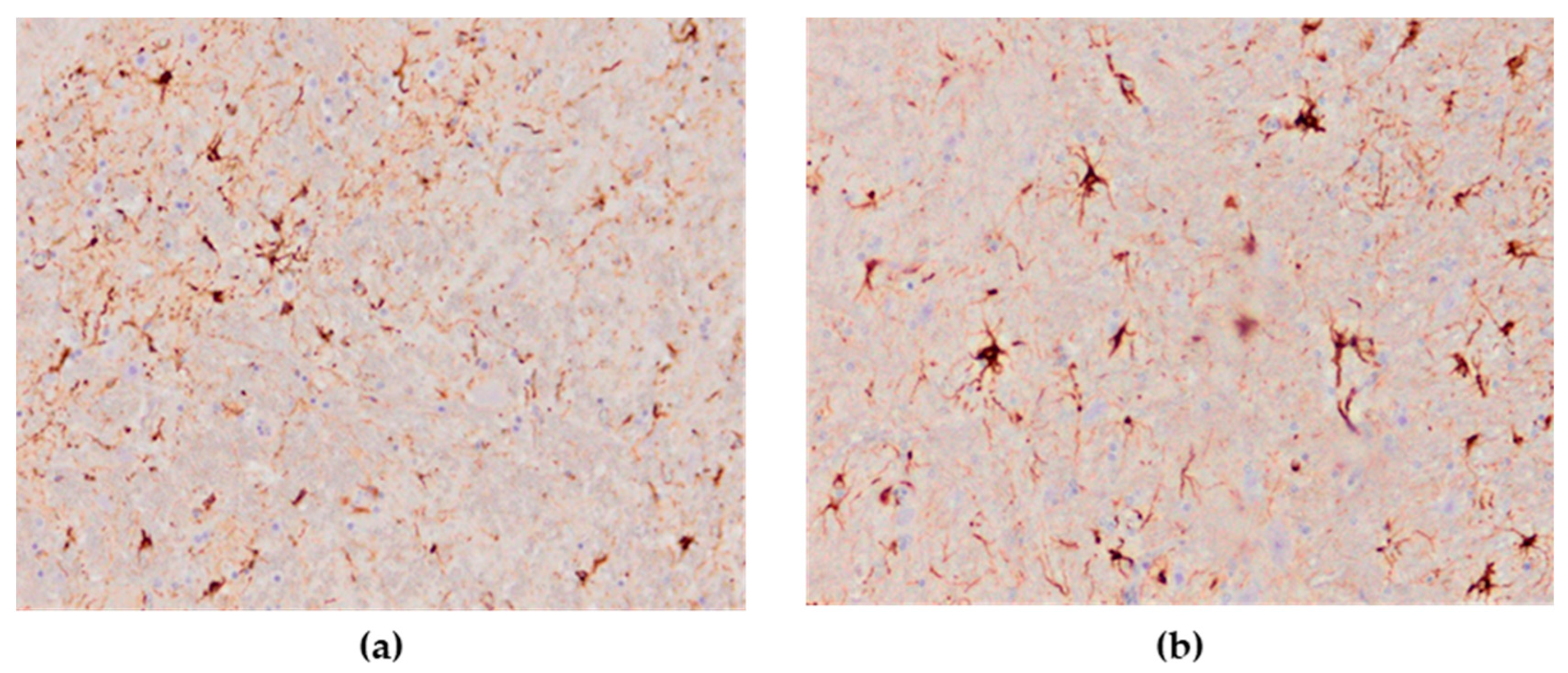 Animals 13 00700 g011 Animals 13 00700 g011