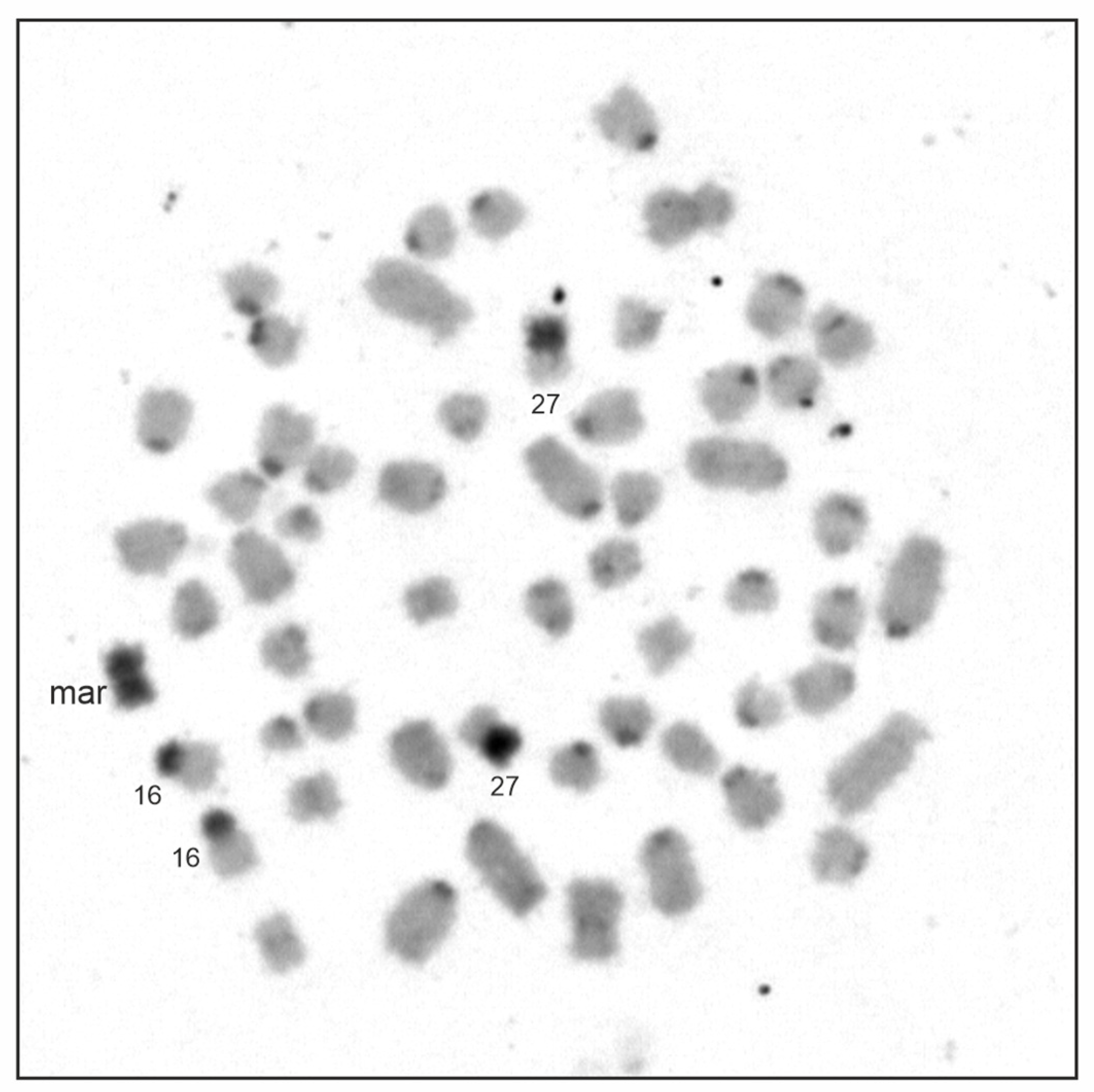 Animals 13 00701 g003