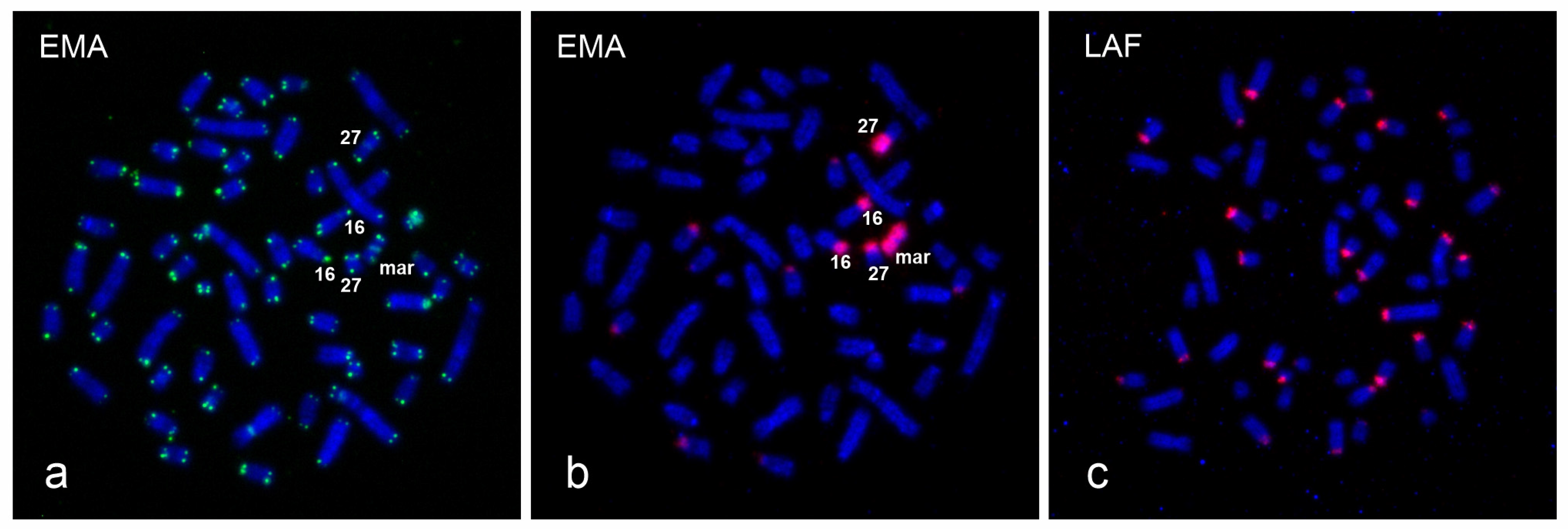 Animals 13 00701 g005