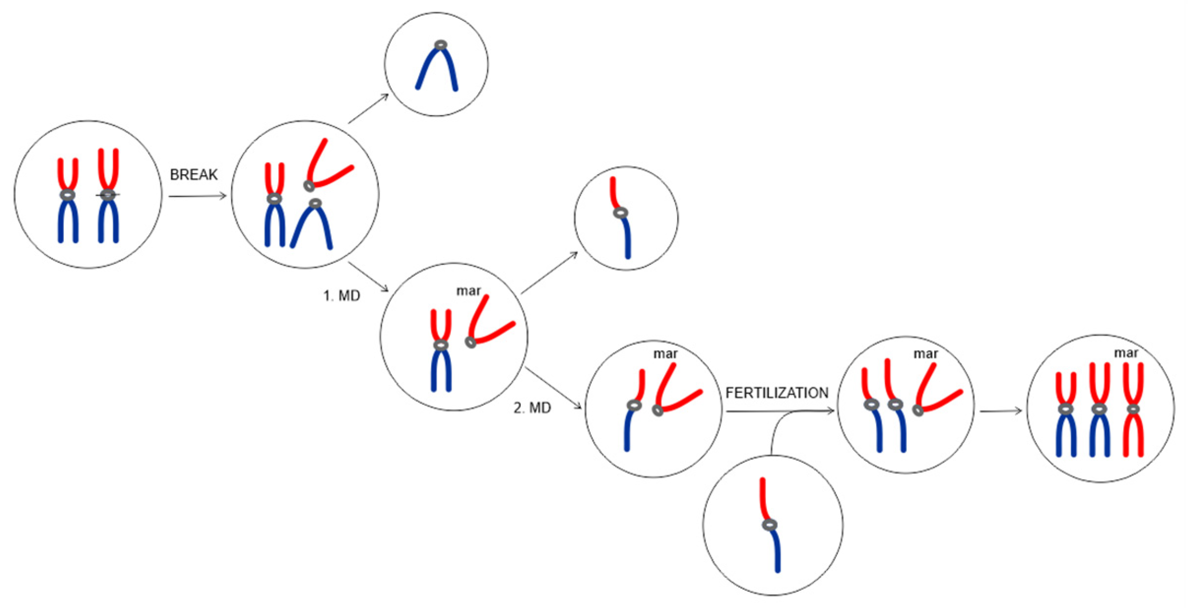 Animals 13 00701 g007