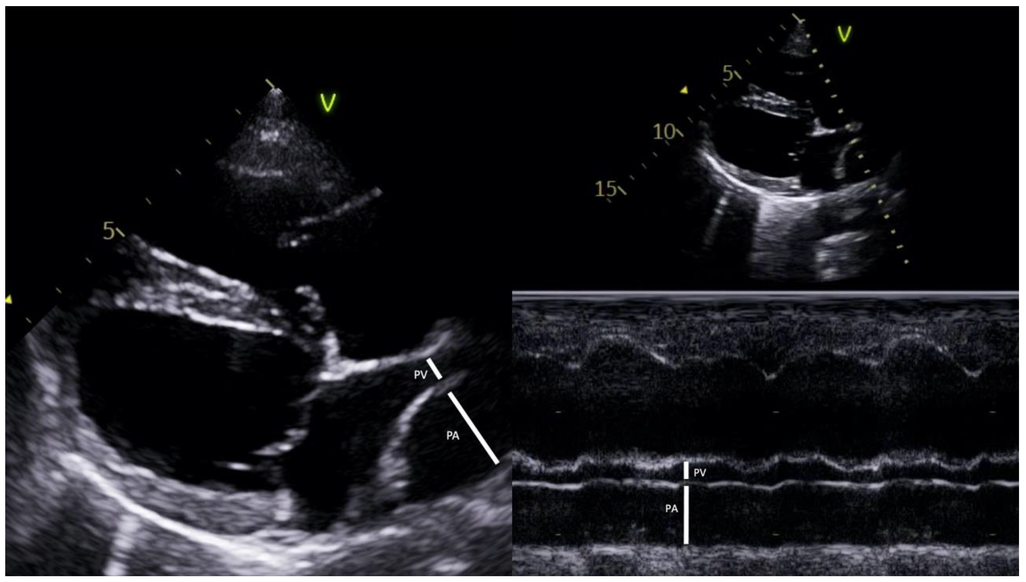 Animals 13 00703 g001 Animals 13 00703 g001