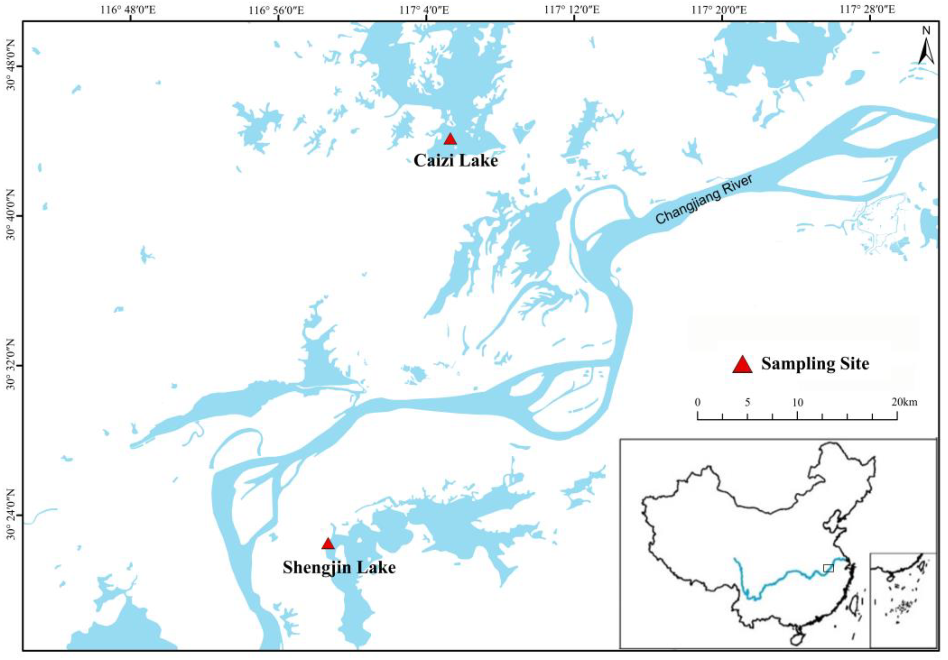 Animals 13 00707 g001 Animals 13 00707 g001