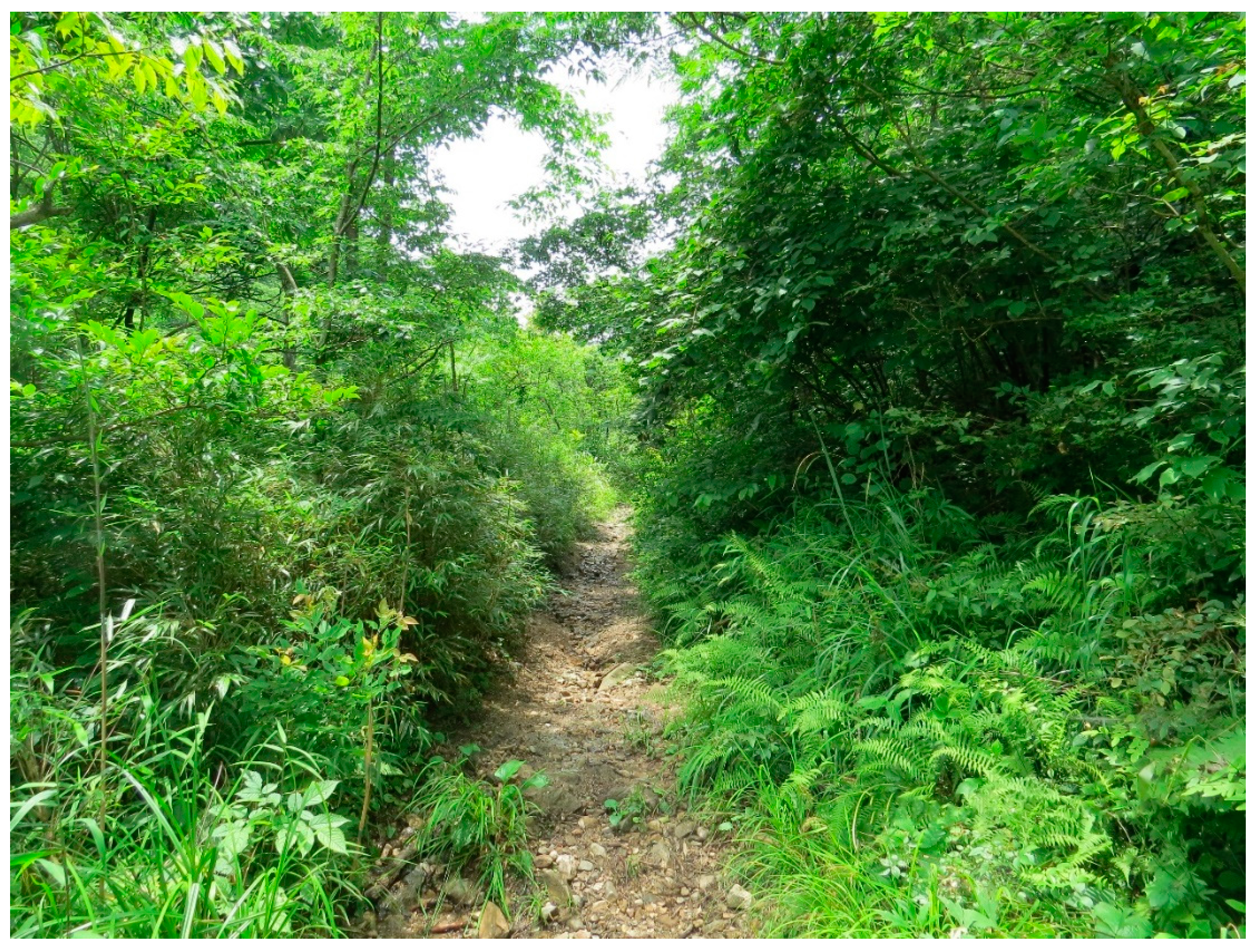 Animals 13 00708 g005 Animals 13 00708 g005