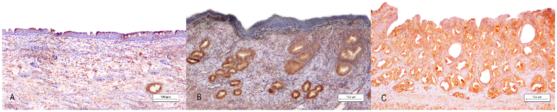 Animals 13 00710 g004