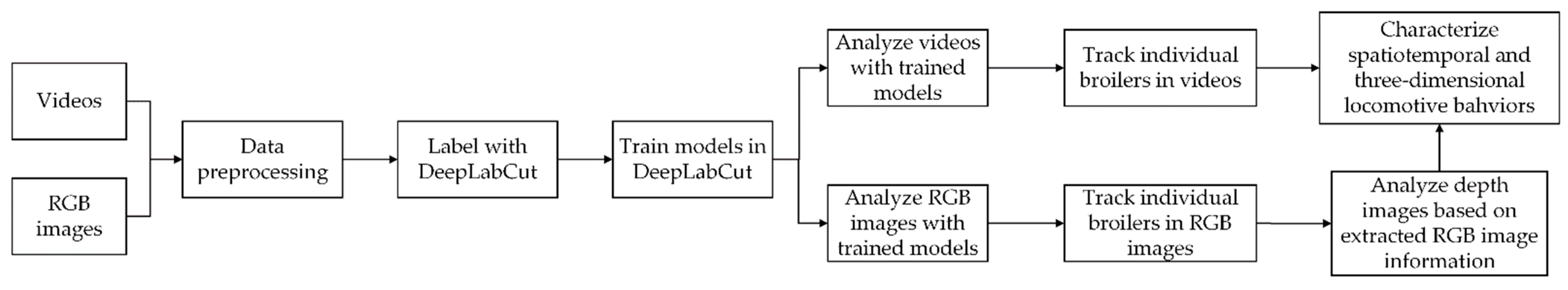 Animals 13 00717 g001