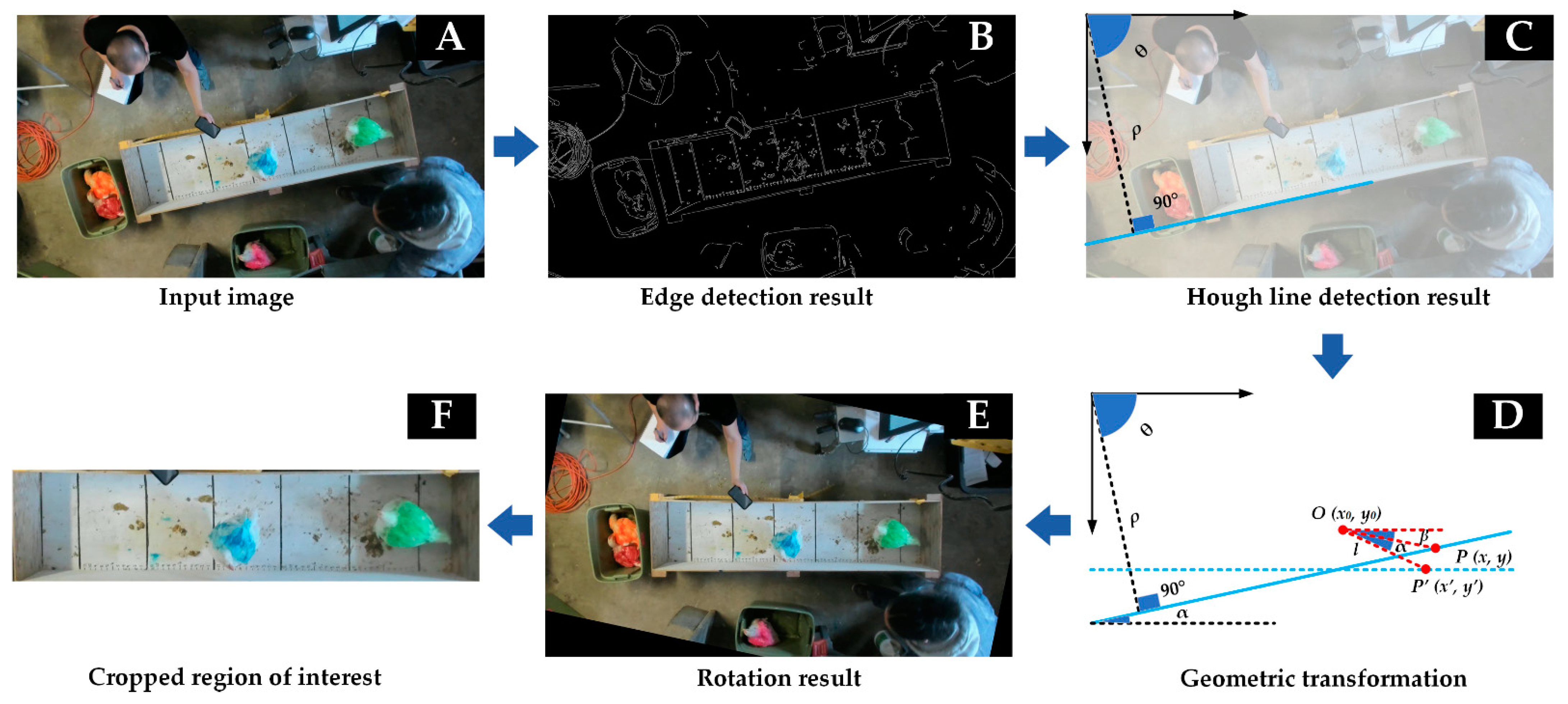 Animals 13 00717 g002