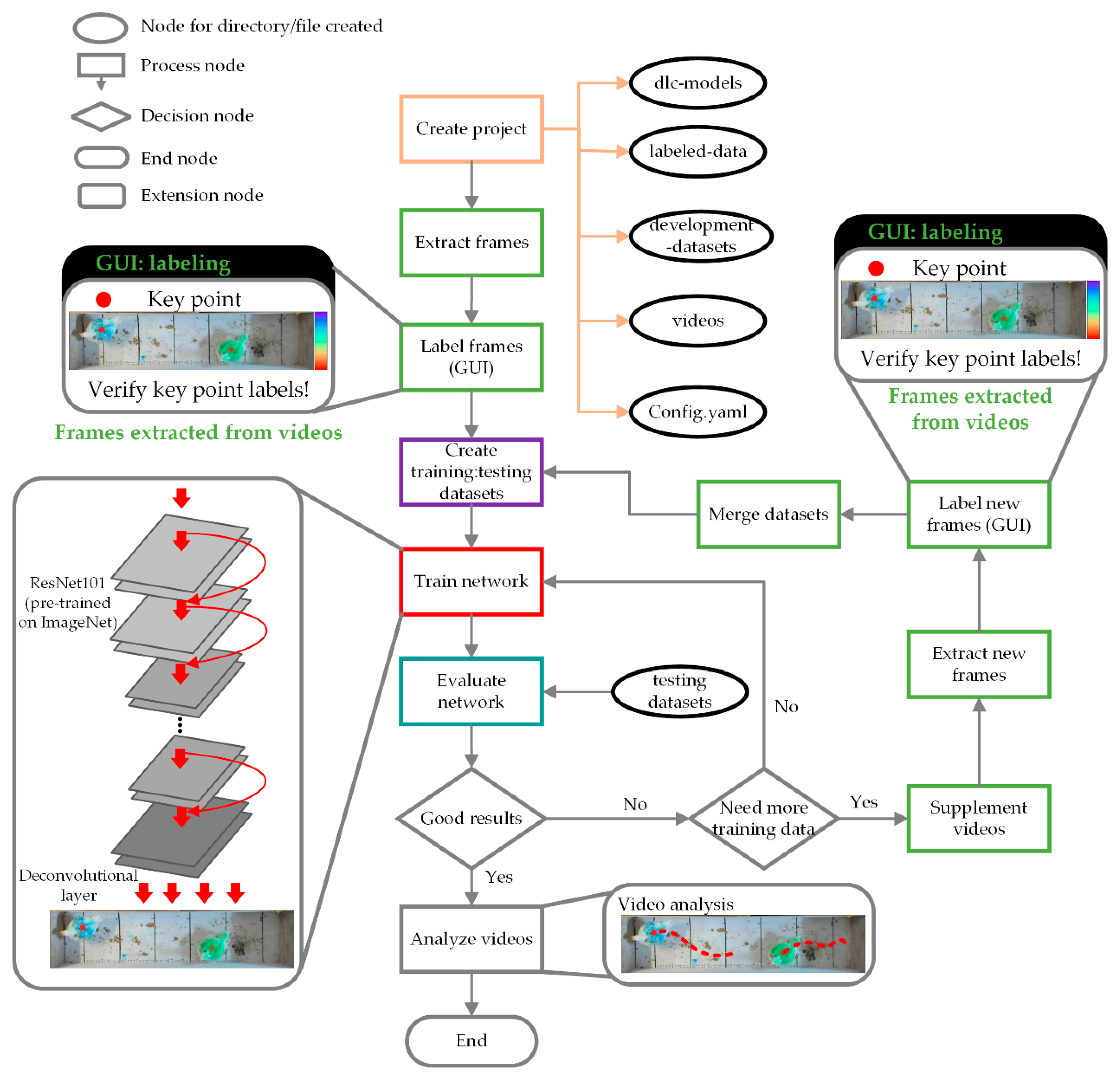 Animals 13 00717 g003