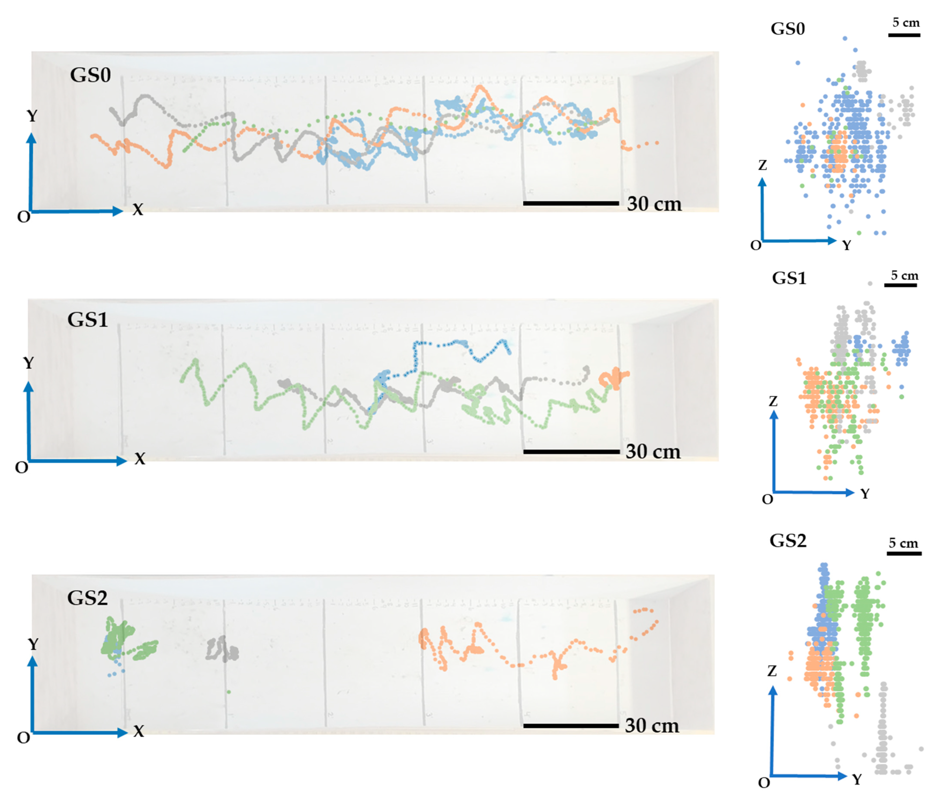 Animals 13 00717 g006