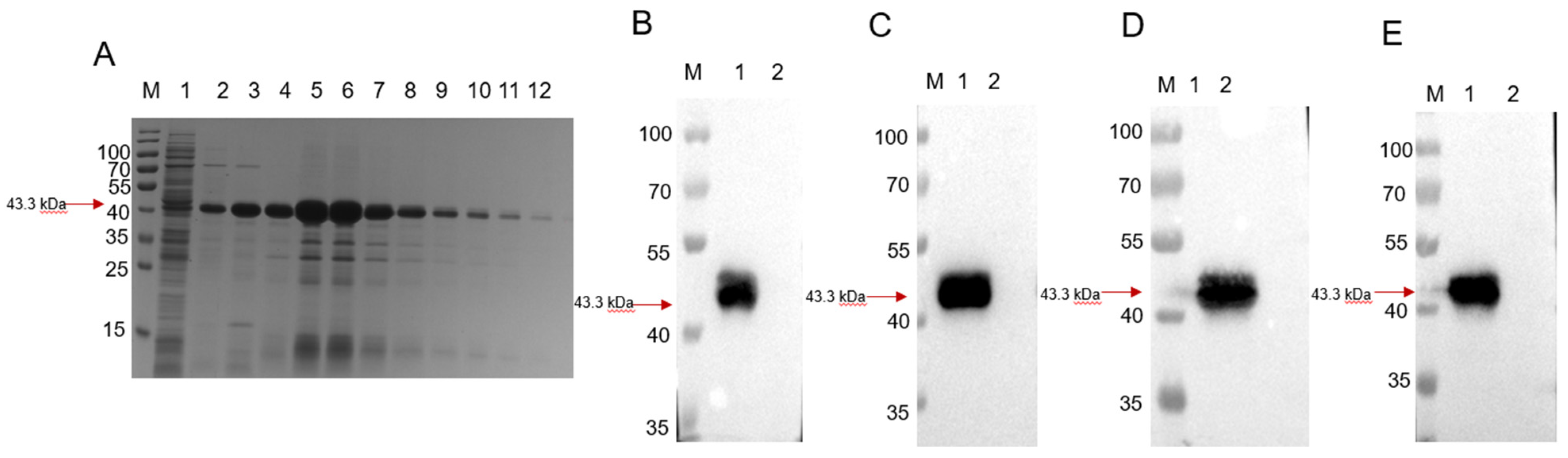 Animals 13 00719 g001