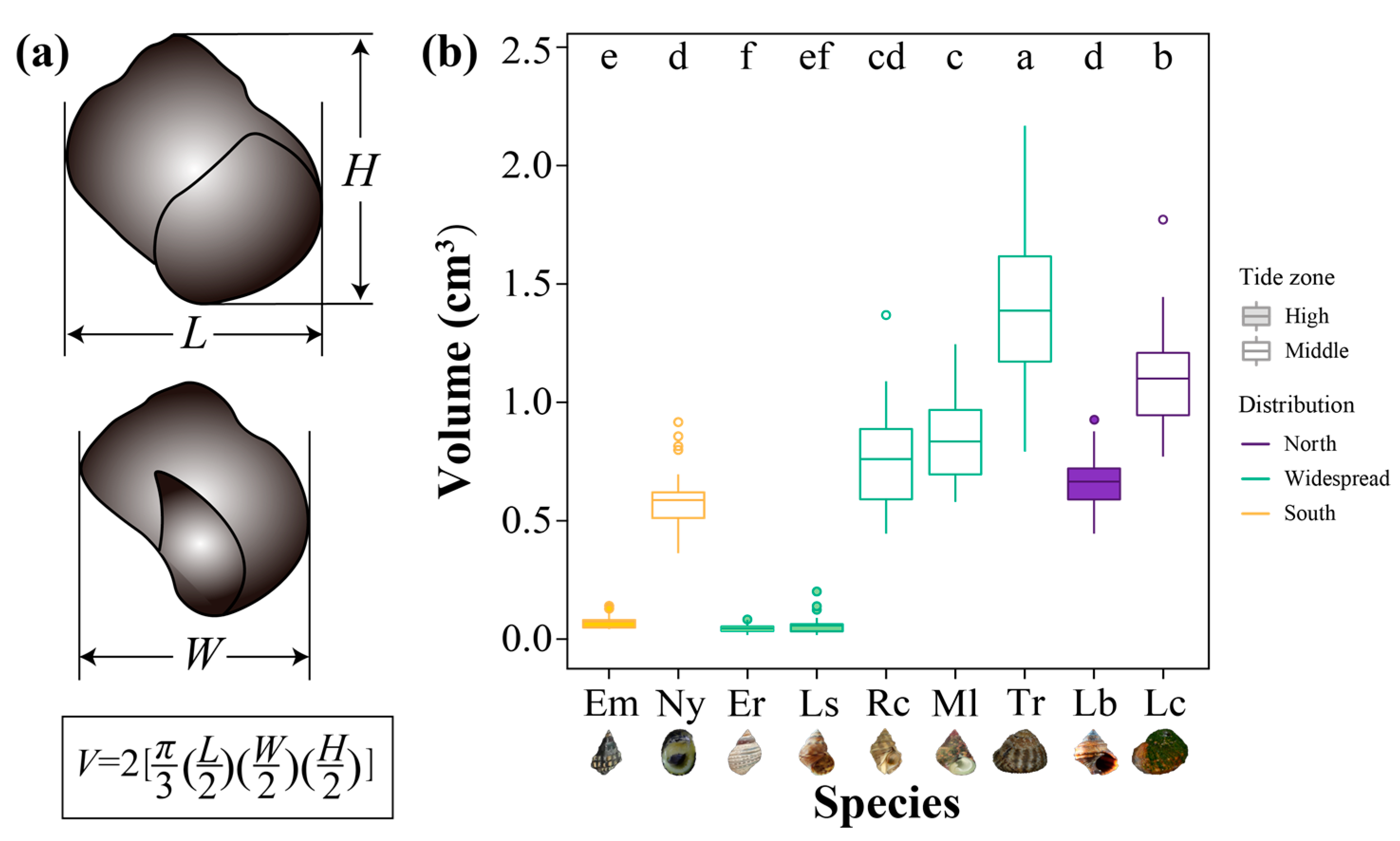 Animals 13 00724 g002 Animals 13 00724 g002