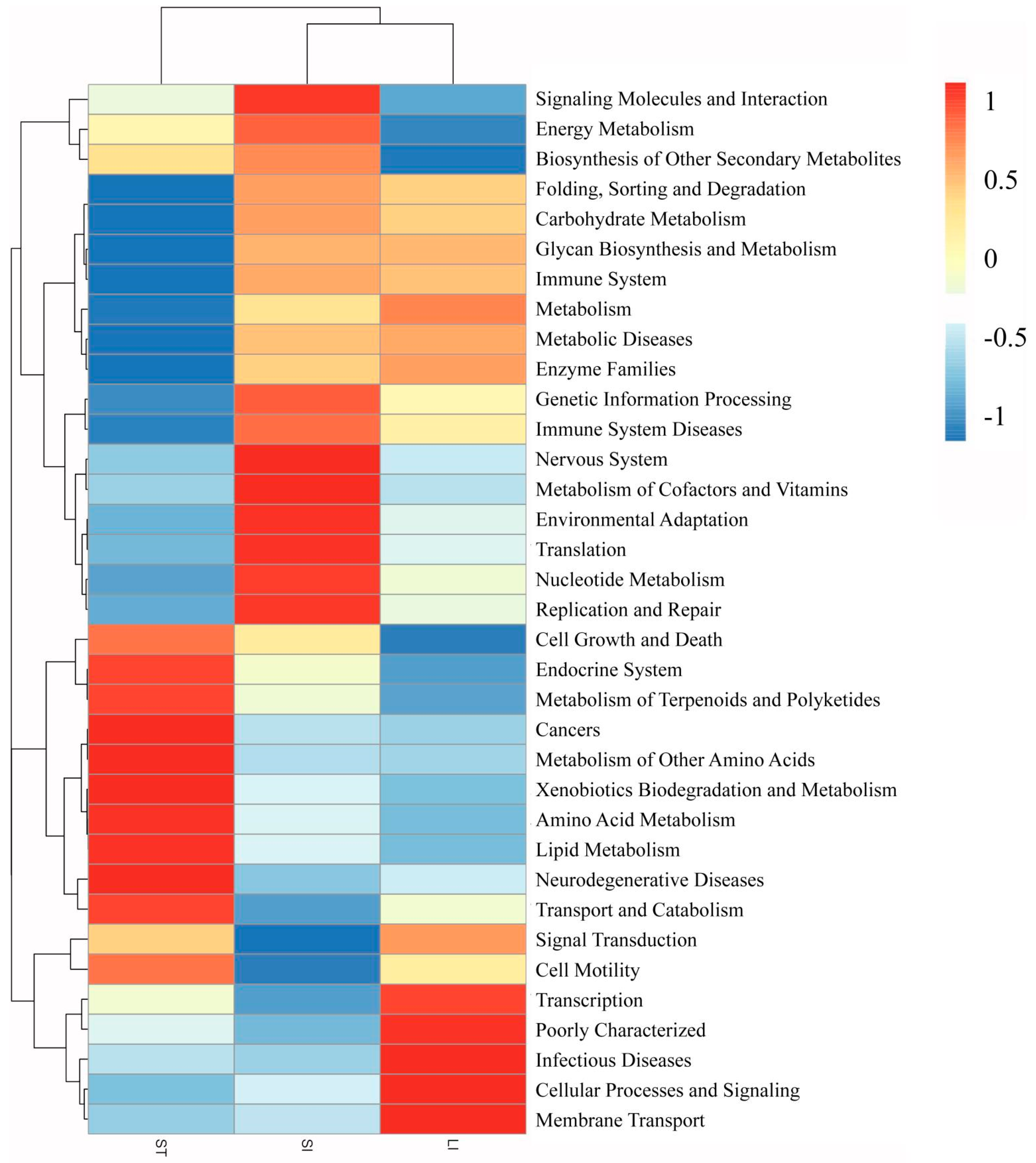 Animals 13 00731 g007