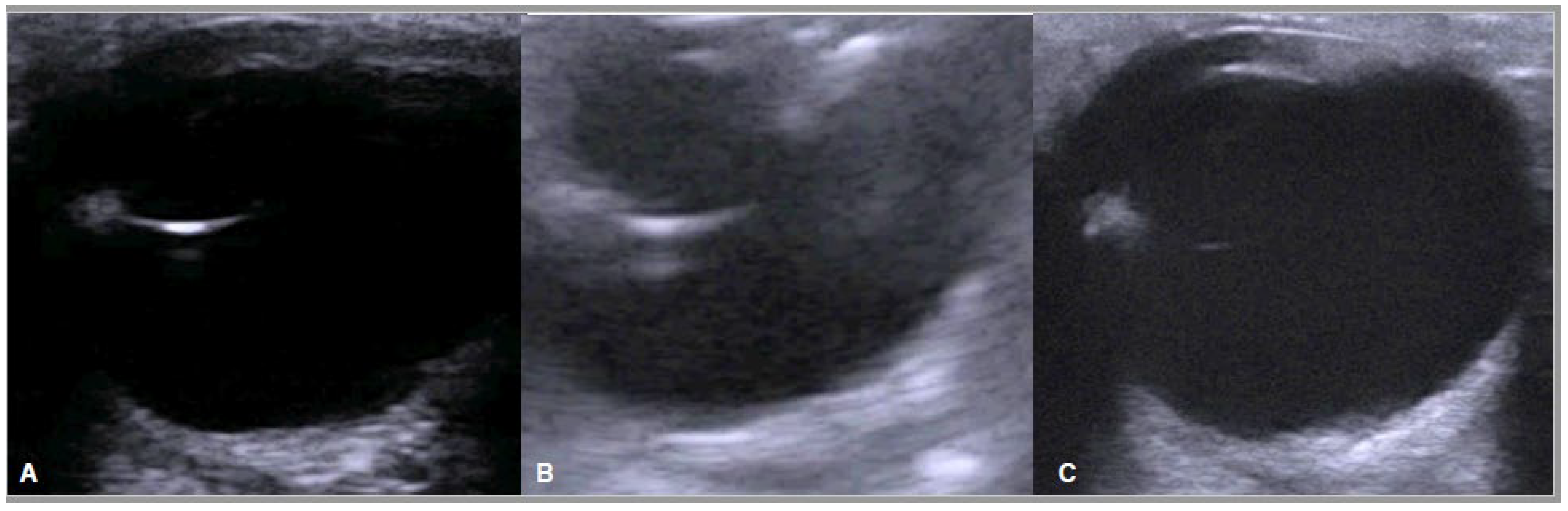 Animals 13 00742 g010 550