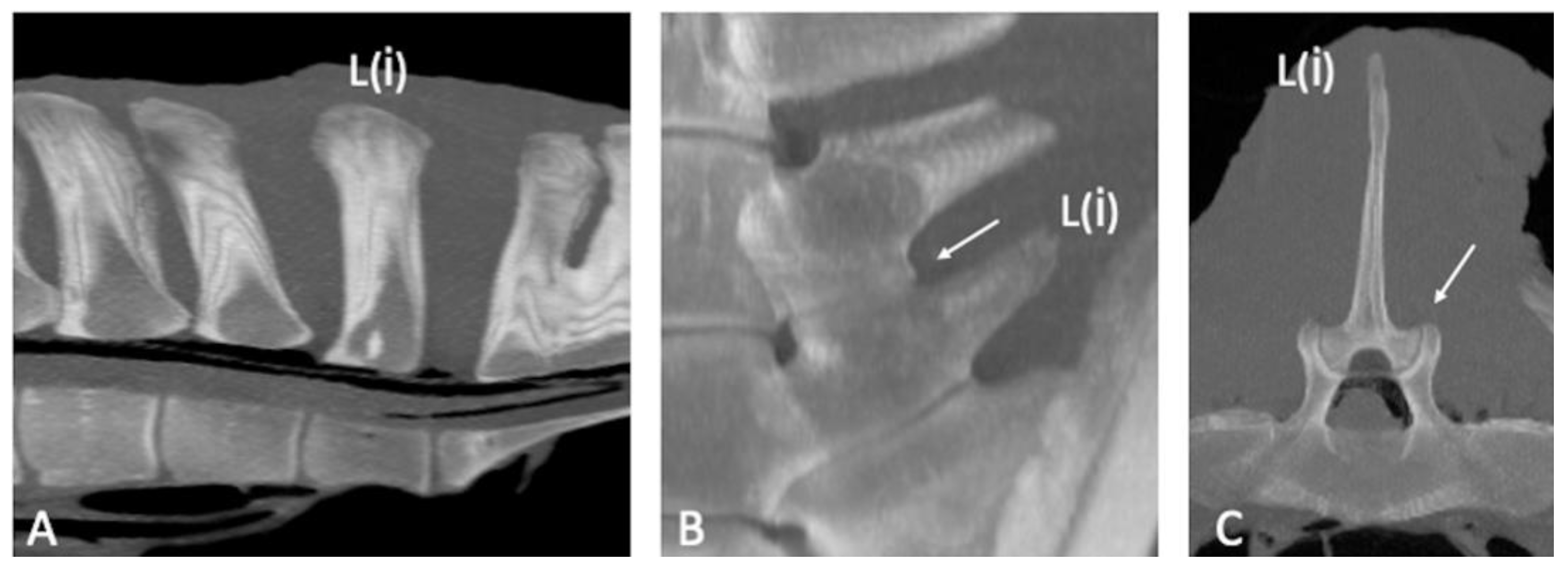 Animals 13 00743 g001