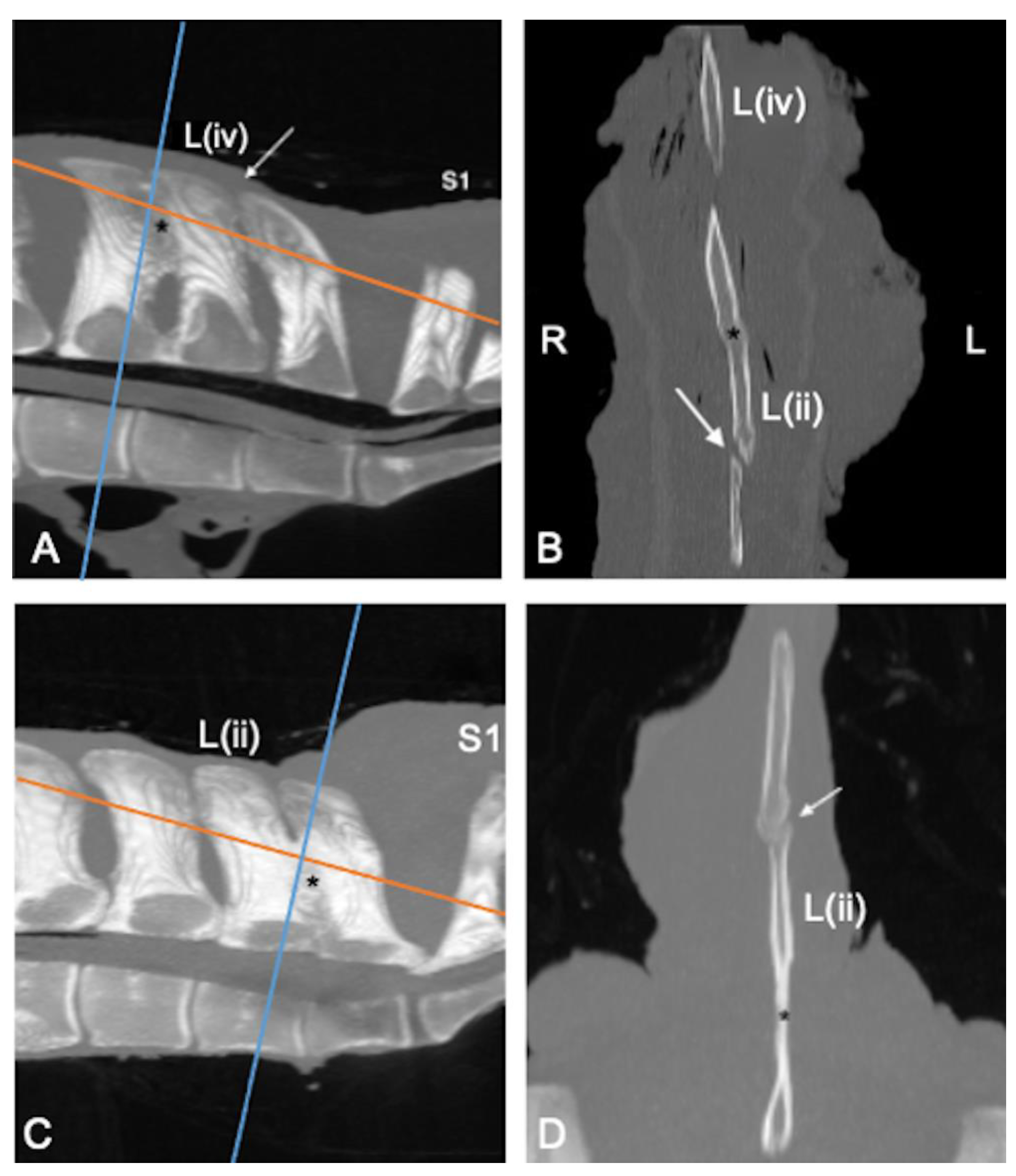 Animals 13 00743 g002
