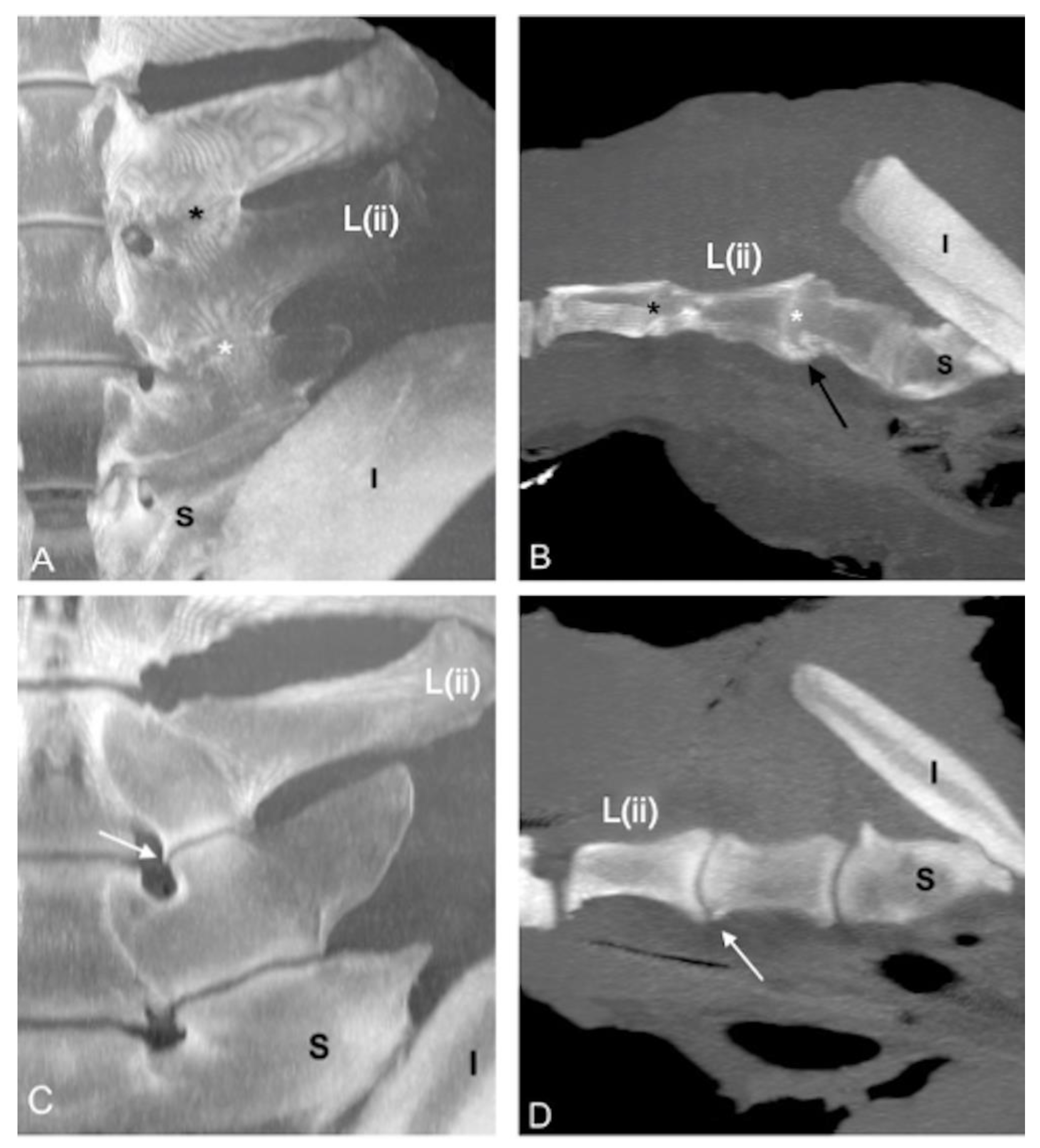 Animals 13 00743 g003