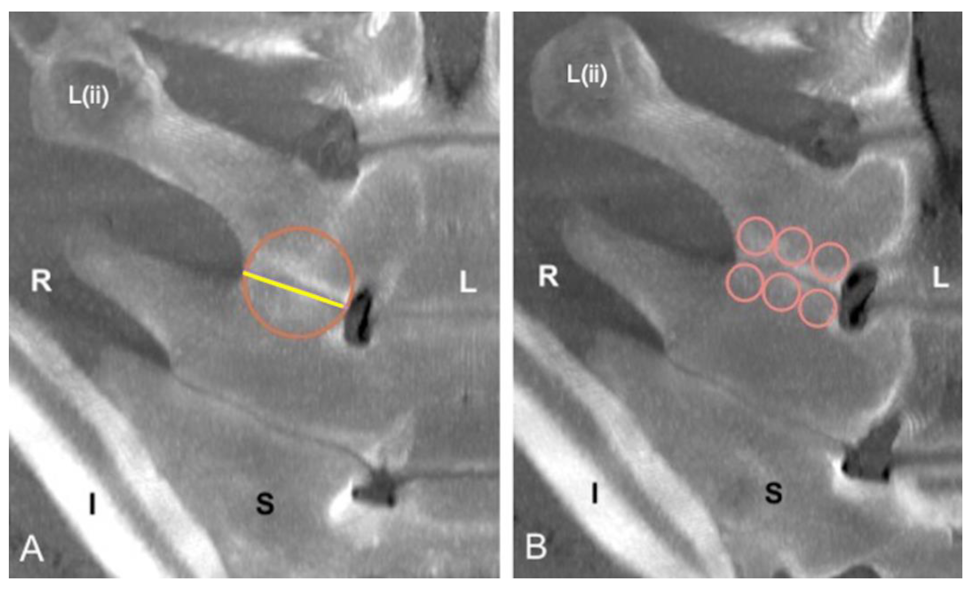 Animals 13 00743 g004