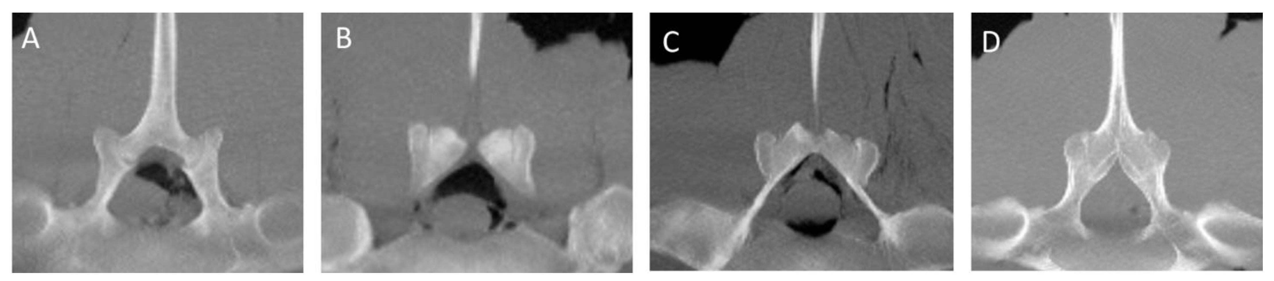 Animals 13 00743 g005