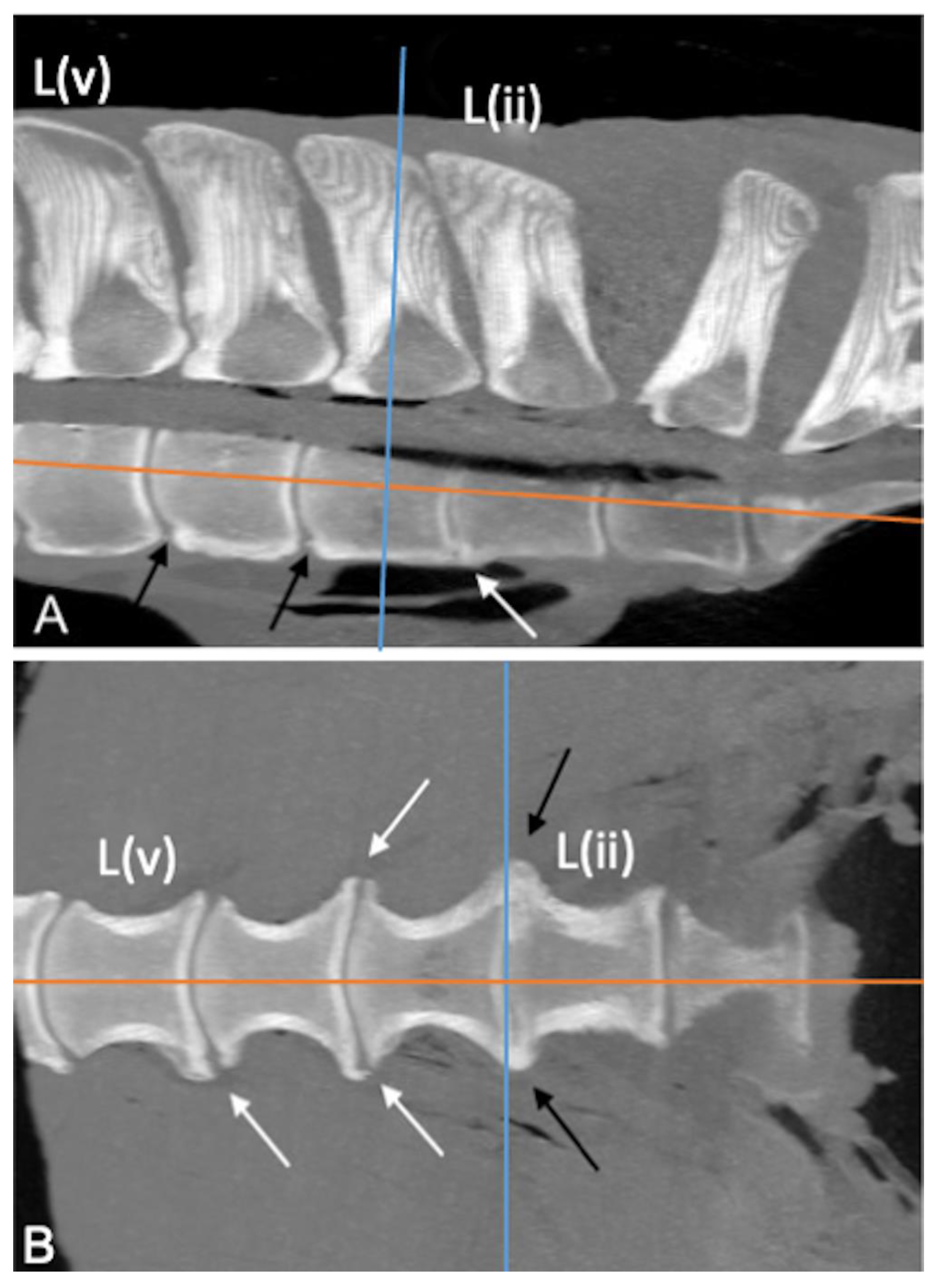 Animals 13 00743 g006