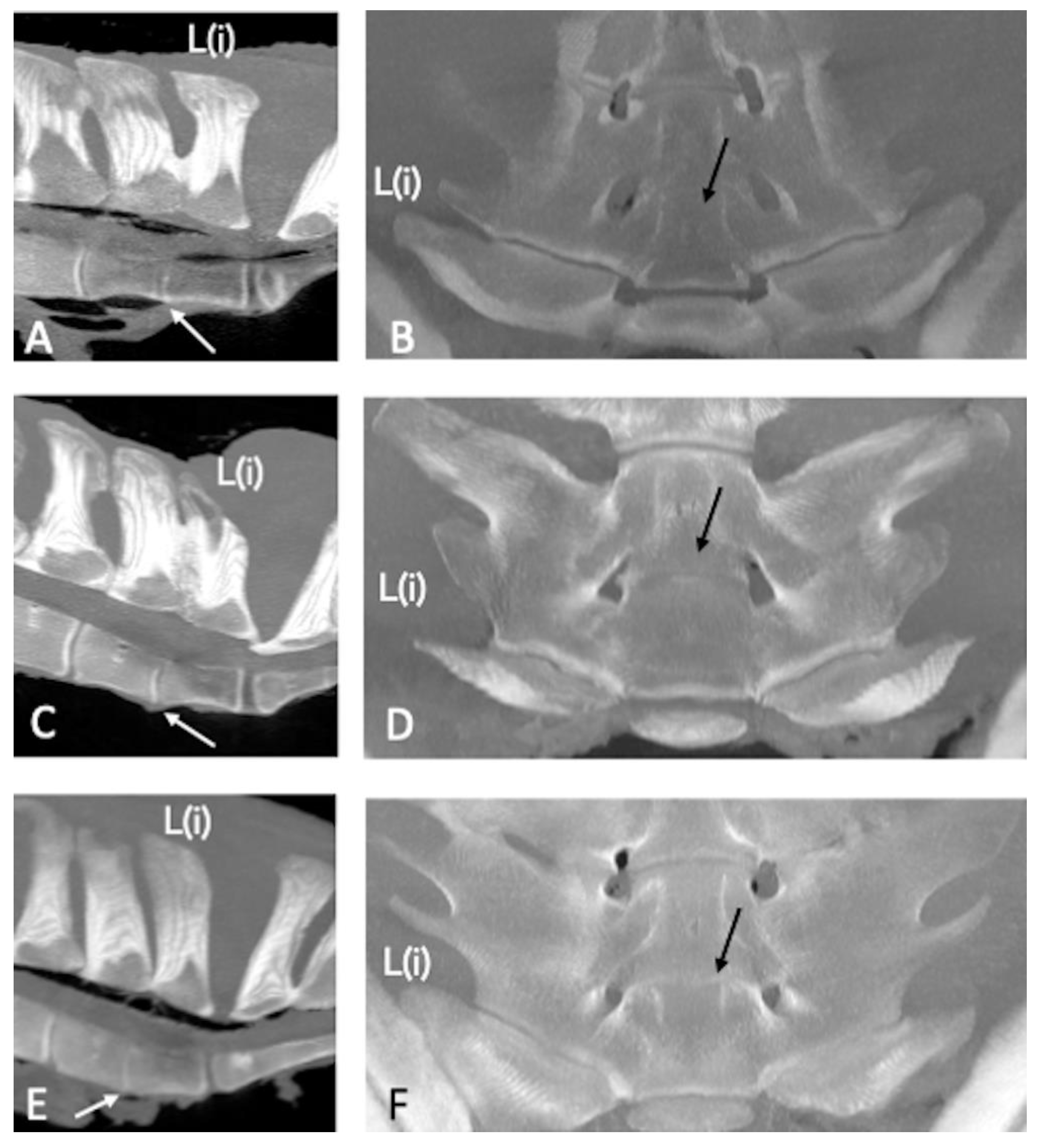 Animals 13 00743 g008