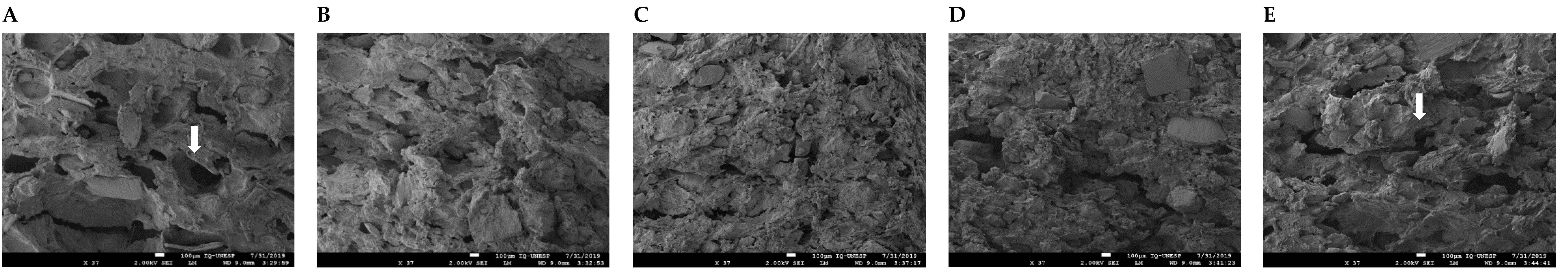 Animals 13 00745 g001