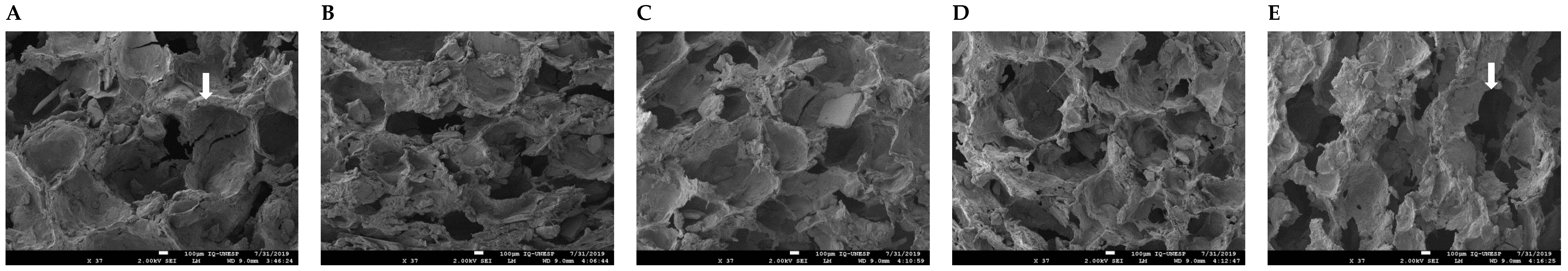 Animals 13 00745 g002