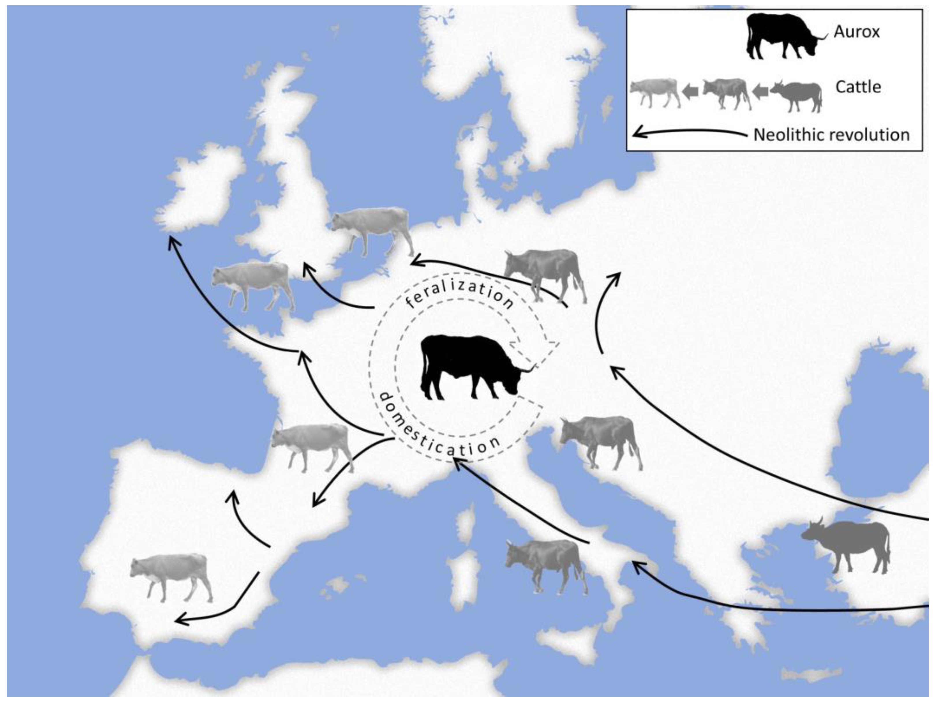 Animals 13 00747 g002 Animals 13 00747 g002