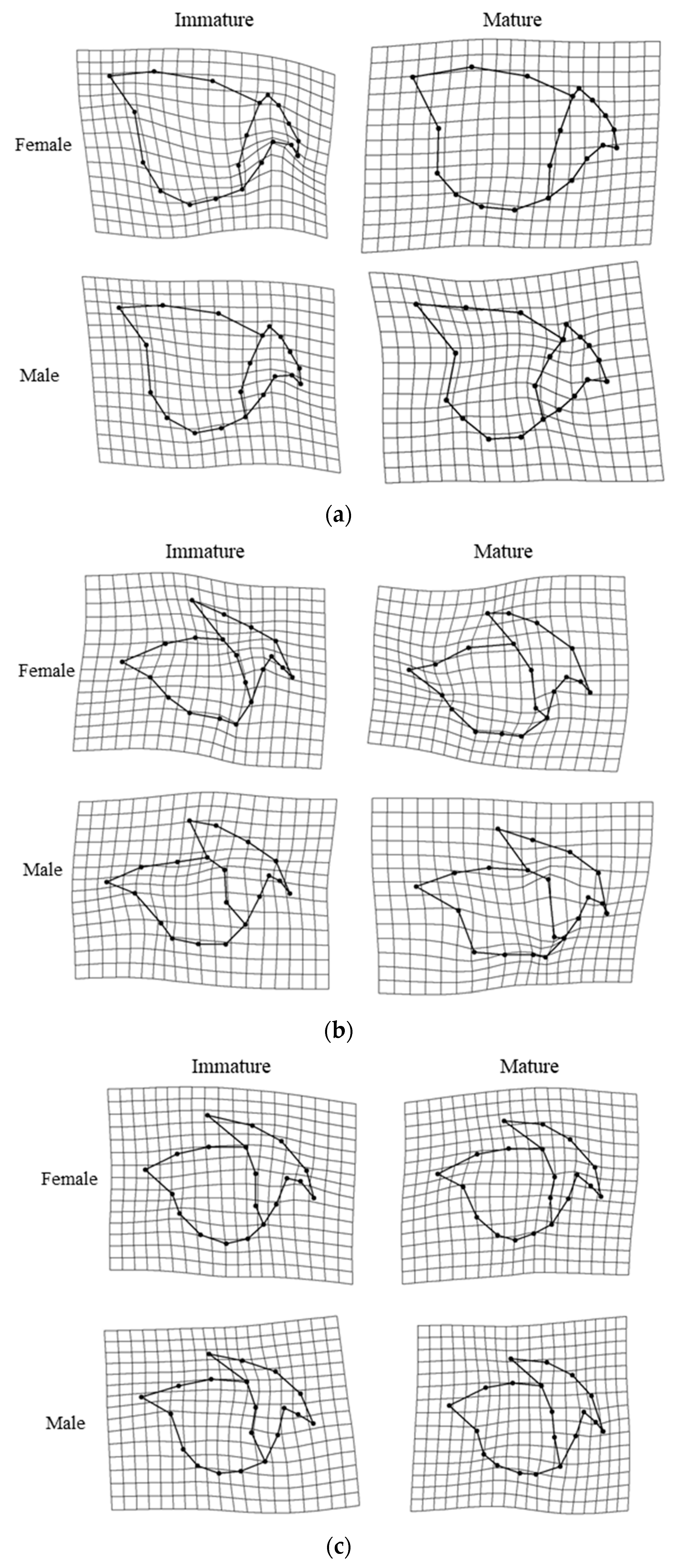 Animals 13 00752 g004a