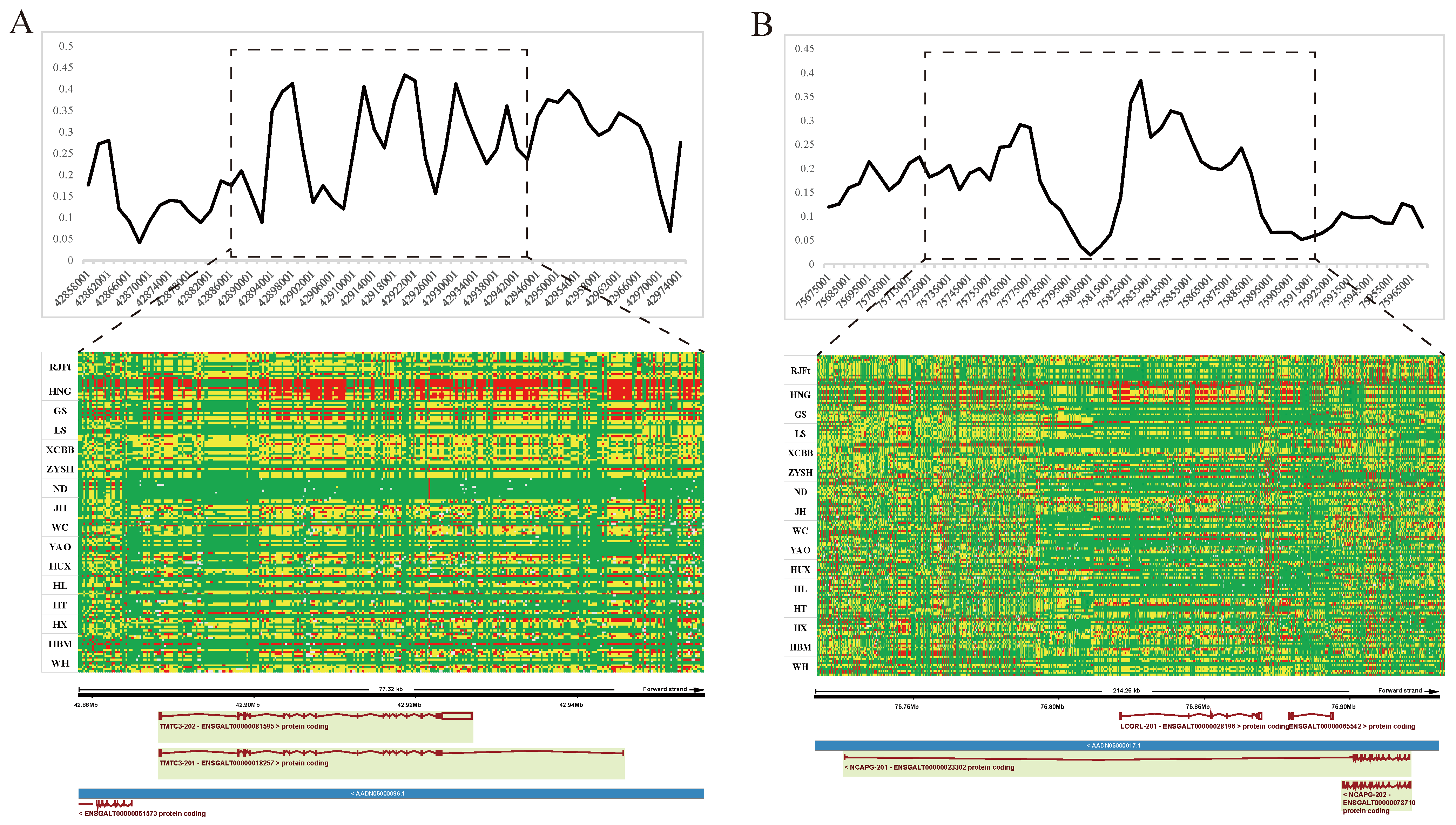 Animals 13 00753 g006