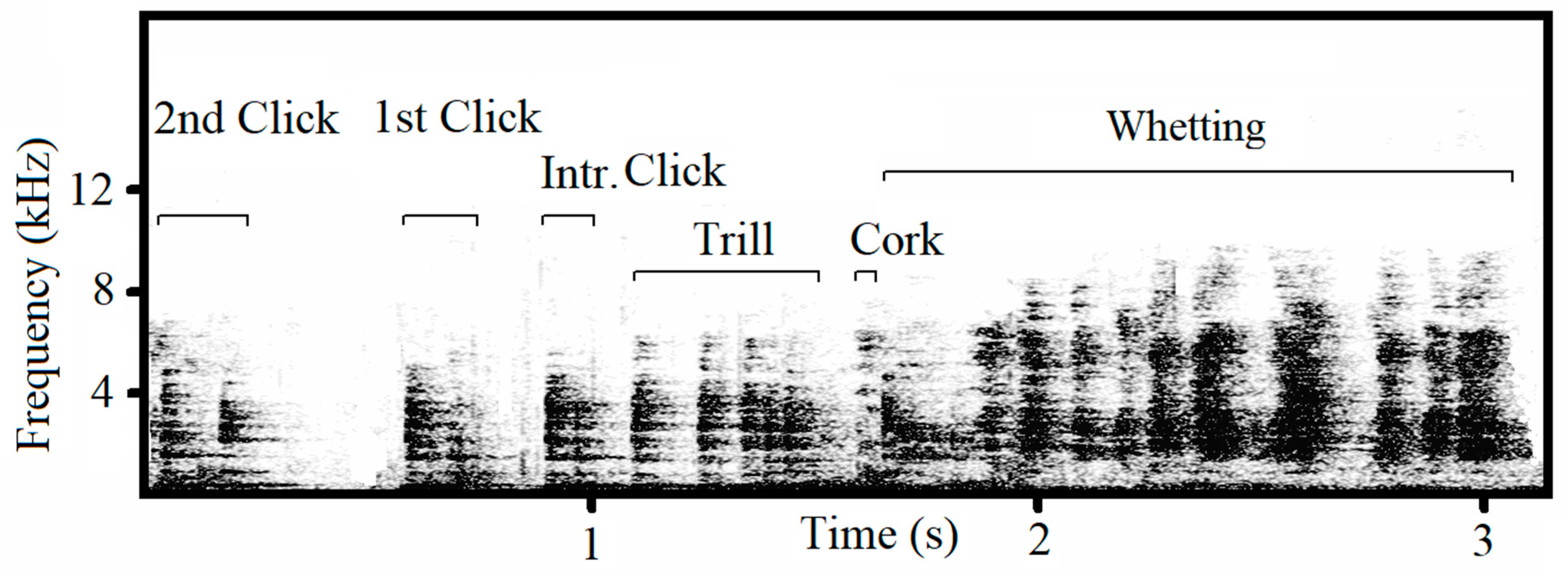 Animals 13 00765 g001