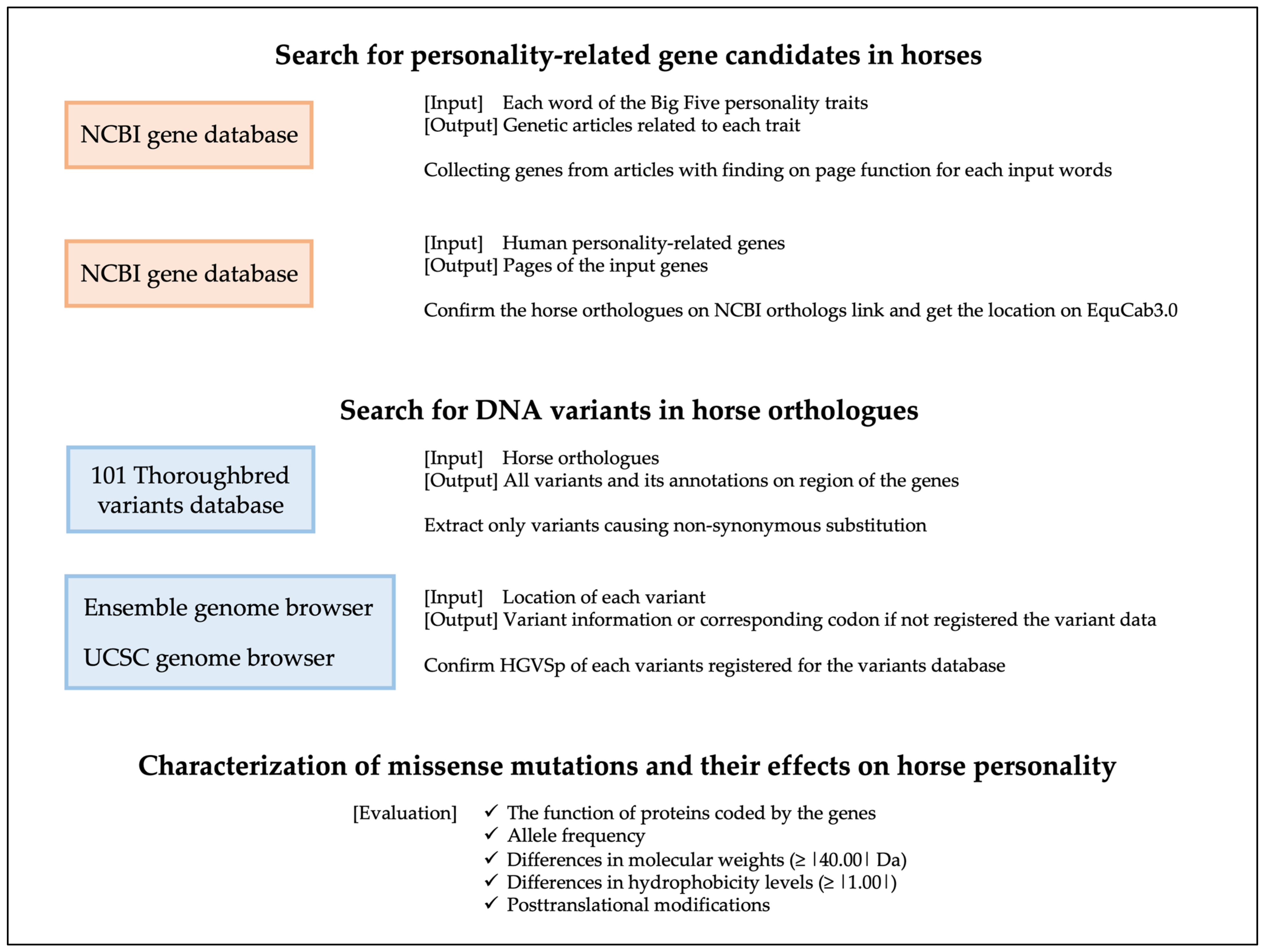 Animals | Free Full-Text | Identification of Personality-Related Candidate  Genes in Thoroughbred Racehorses Using a Bioinformatics-Based Approach  Involving Functionally Annotated Human Genes