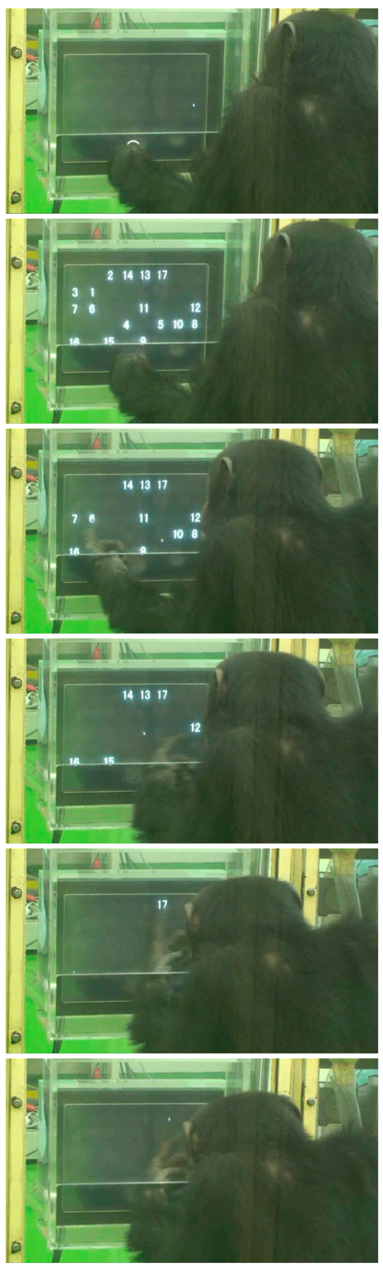 Animals 13 00774 g001