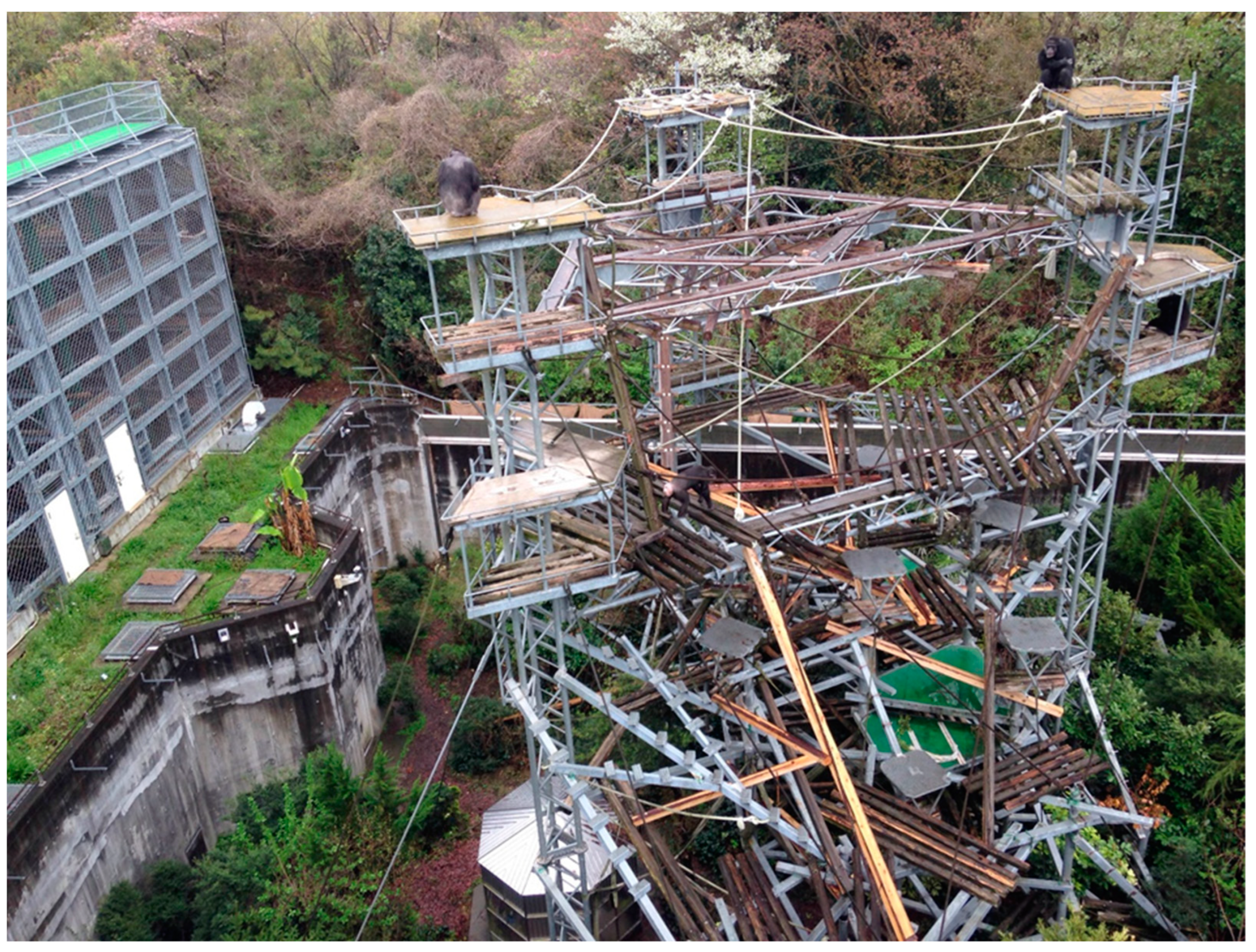 Animals 13 00774 g002