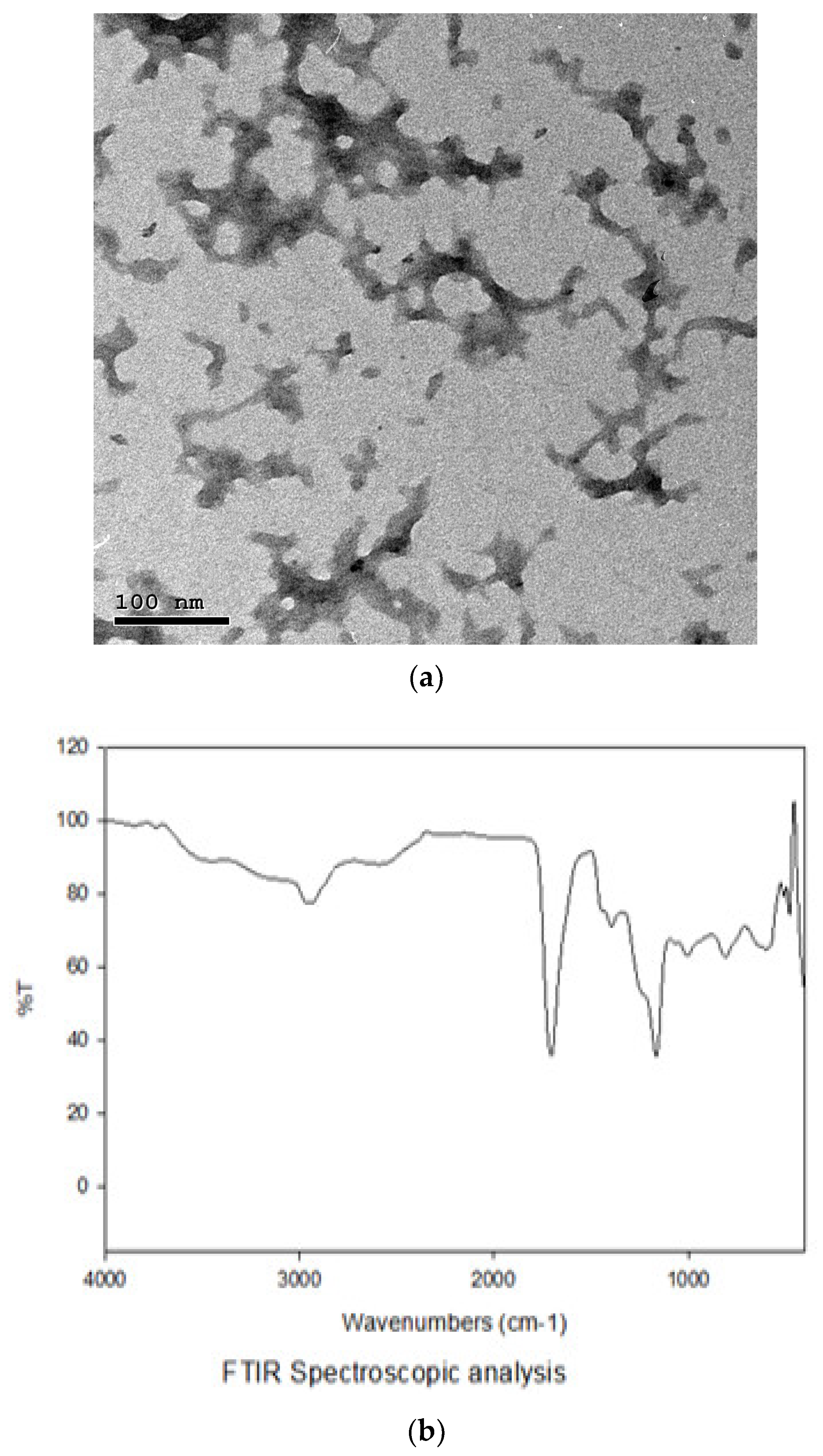 Animals 13 00775 g001 Animals 13 00775 g001