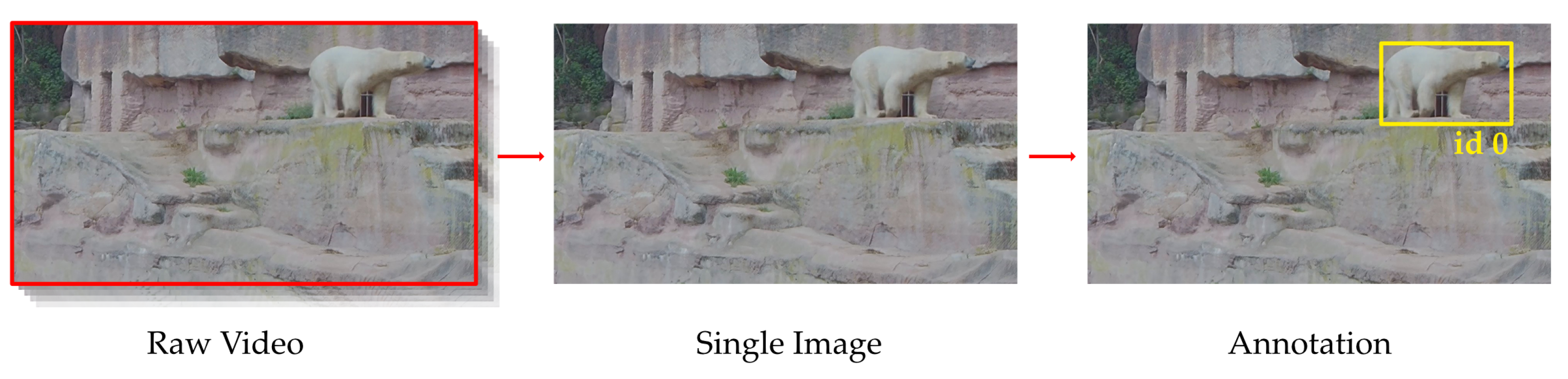 Animals 13 00801 g002