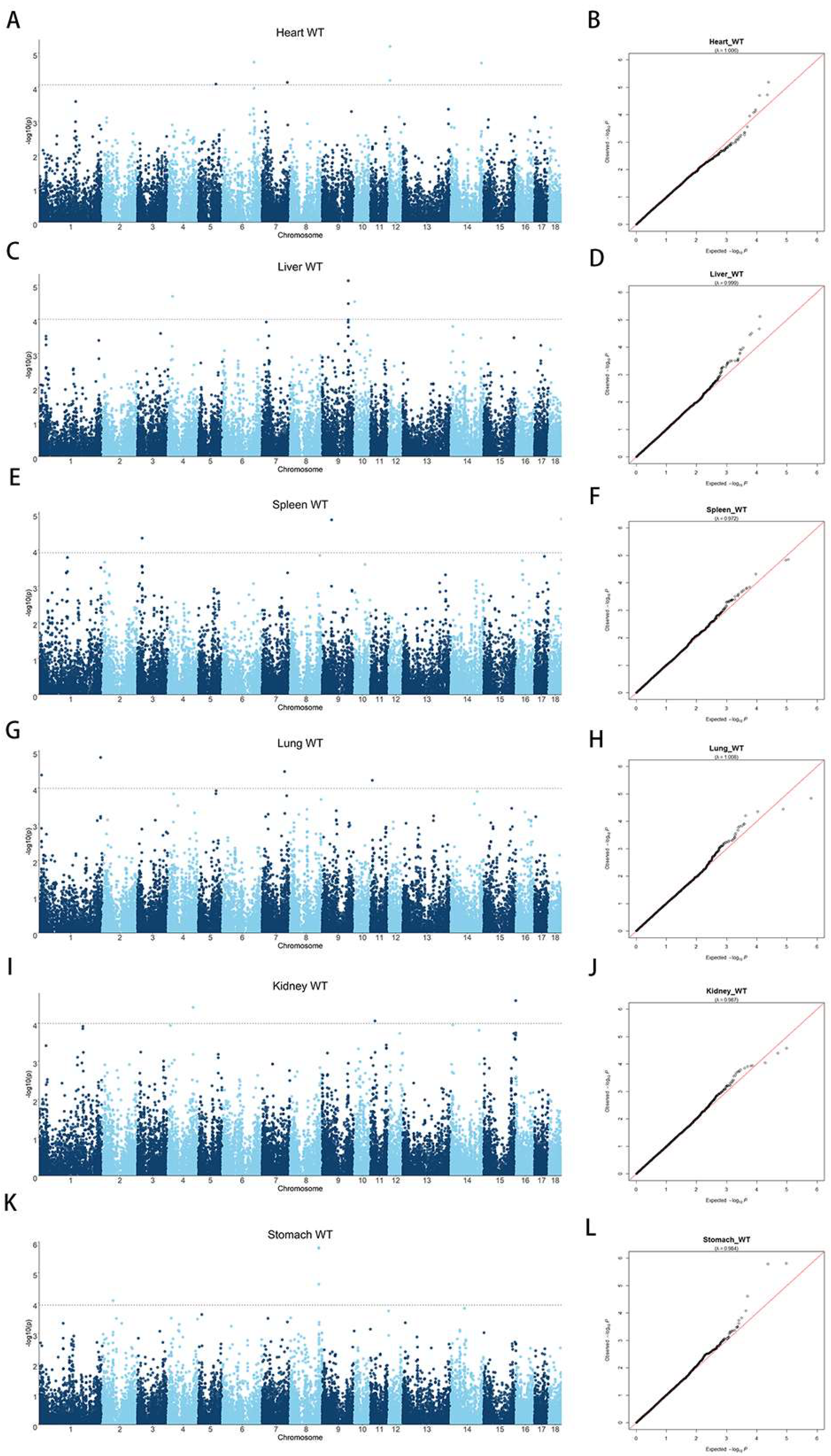 Animals 13 00808 g002 Animals 13 00808 g002