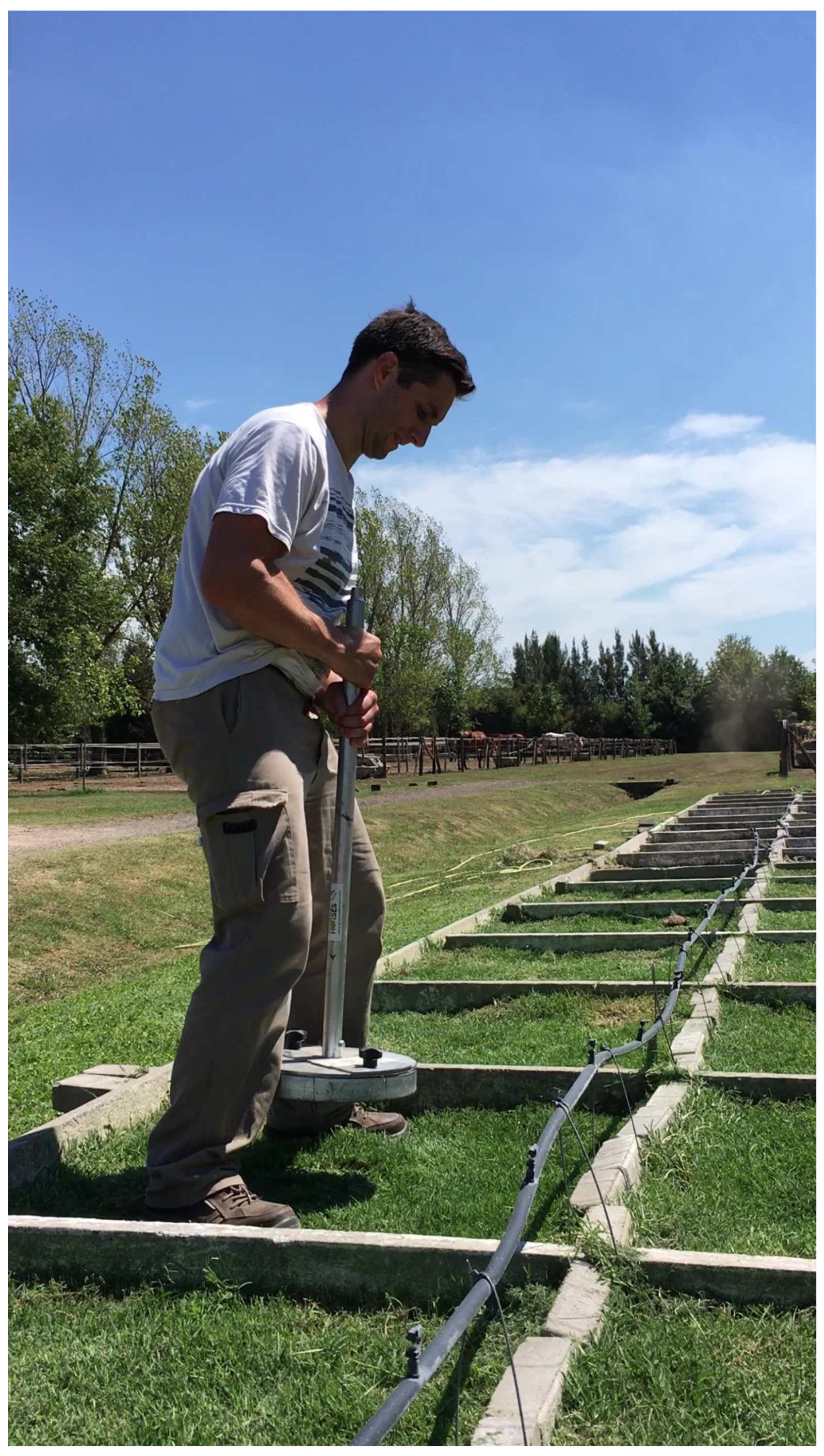 Animals 13 00811 g002