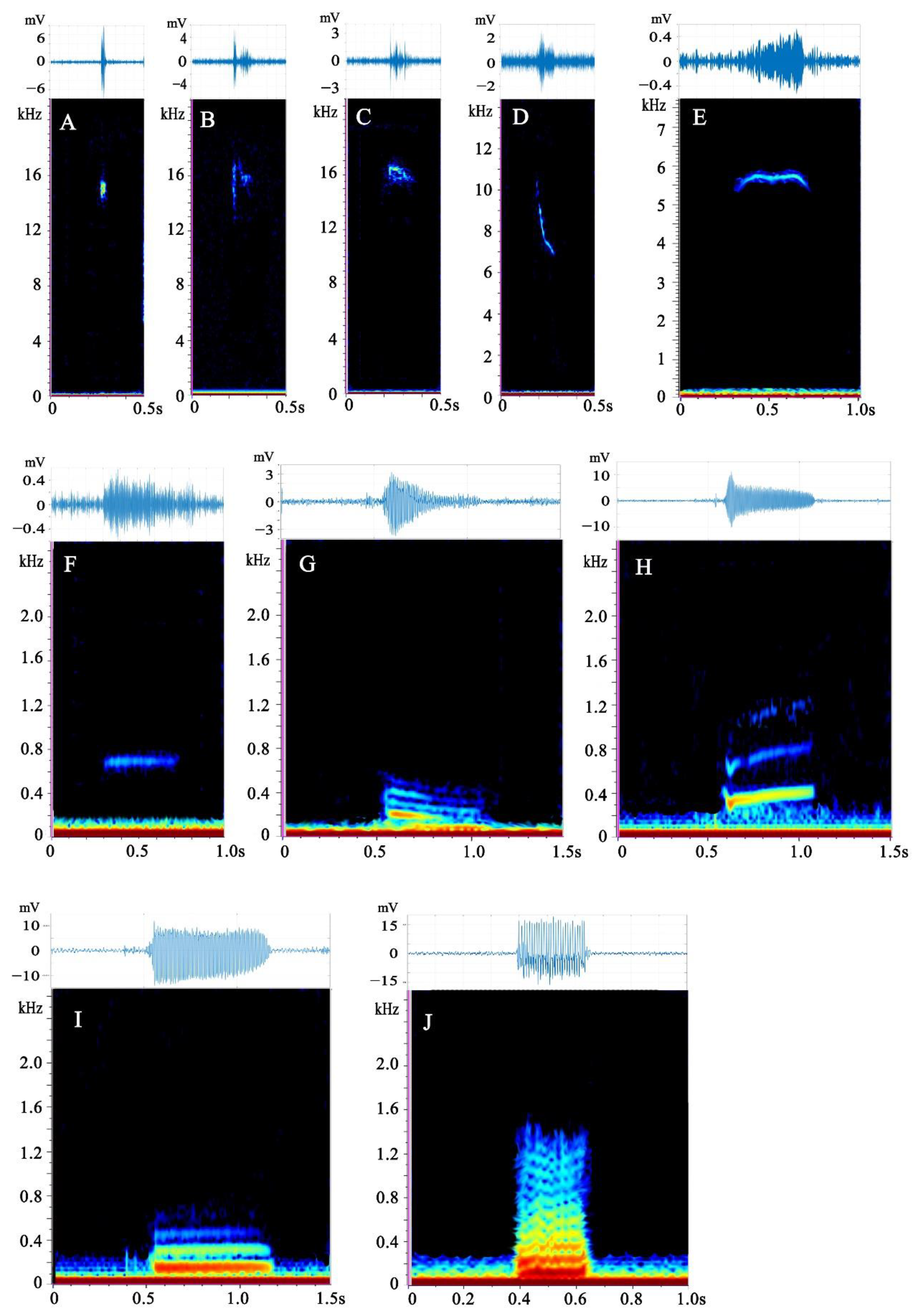 Animals 13 00812 g001 Animals 13 00812 g001