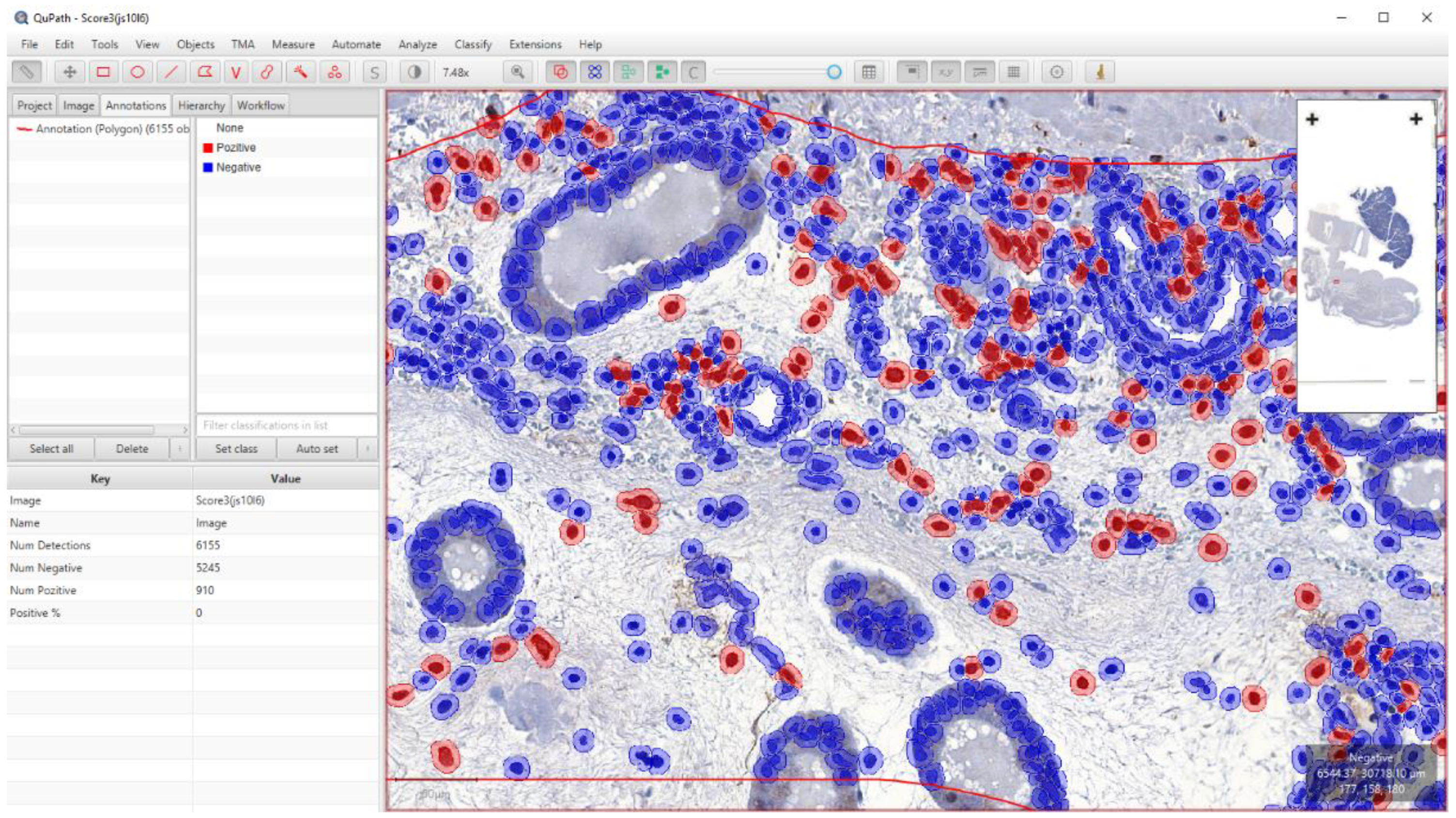 Animals 13 00830 g004