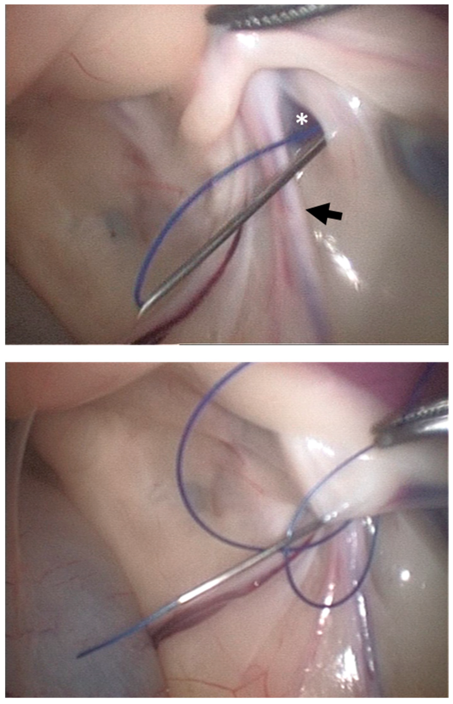 Animals 13 00836 g002 Animals 13 00836 g002